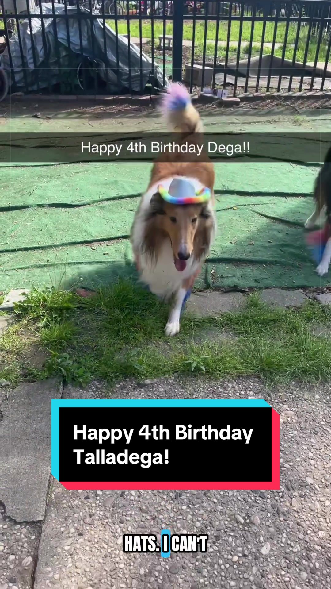 @Dakota & Pups