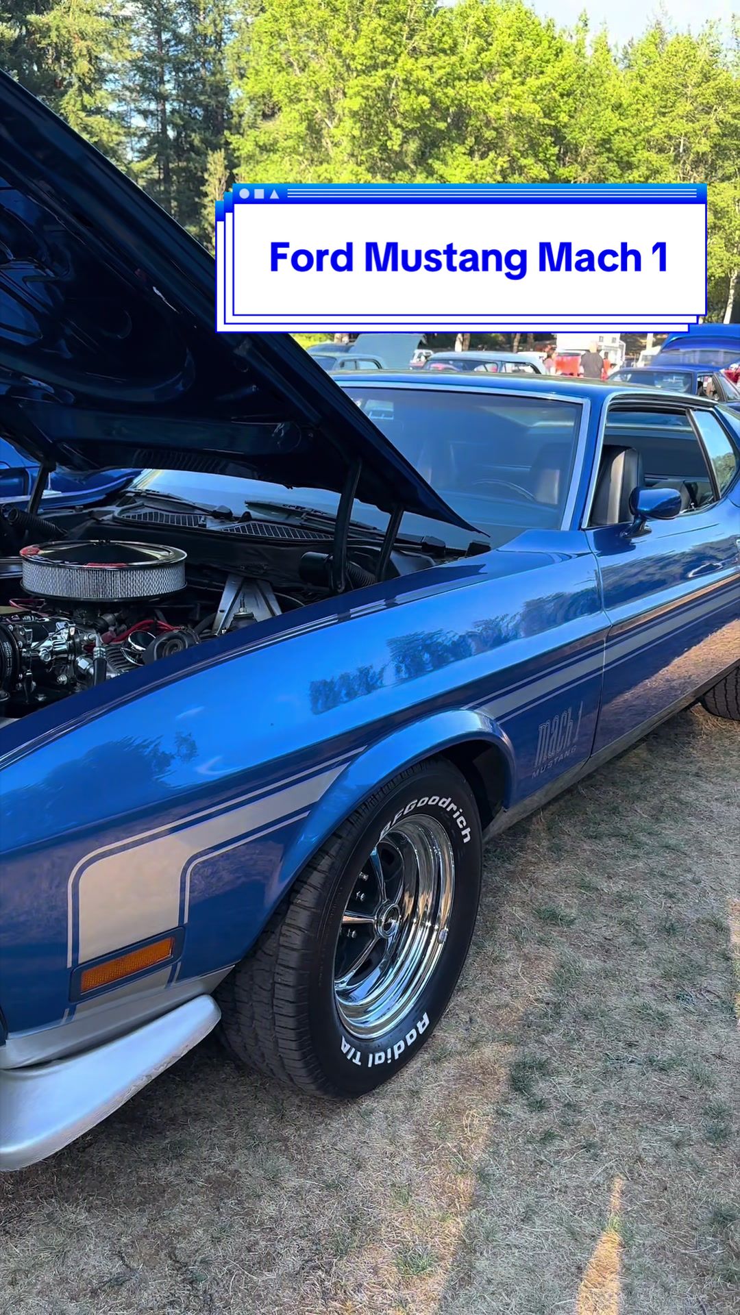 @V8 Vibes