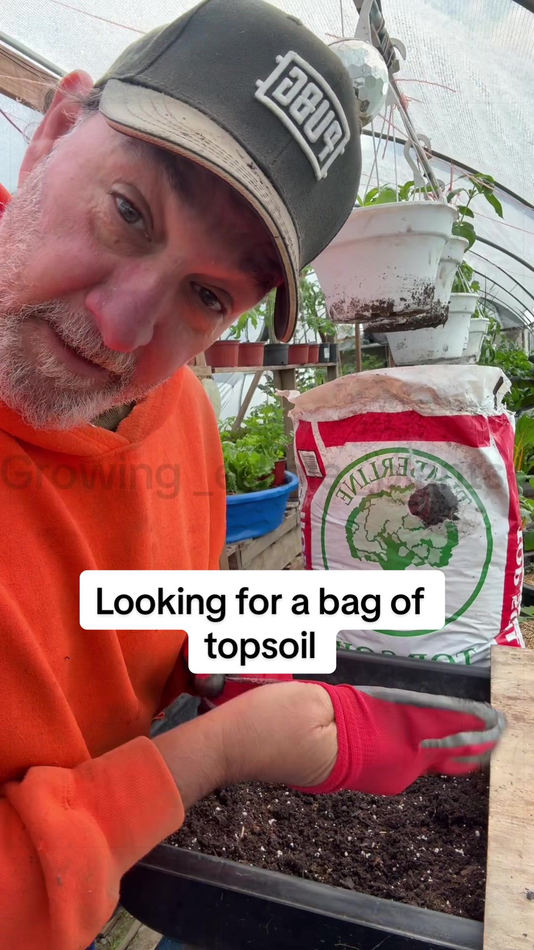 @GROWING_EDIBLE_PLANTS