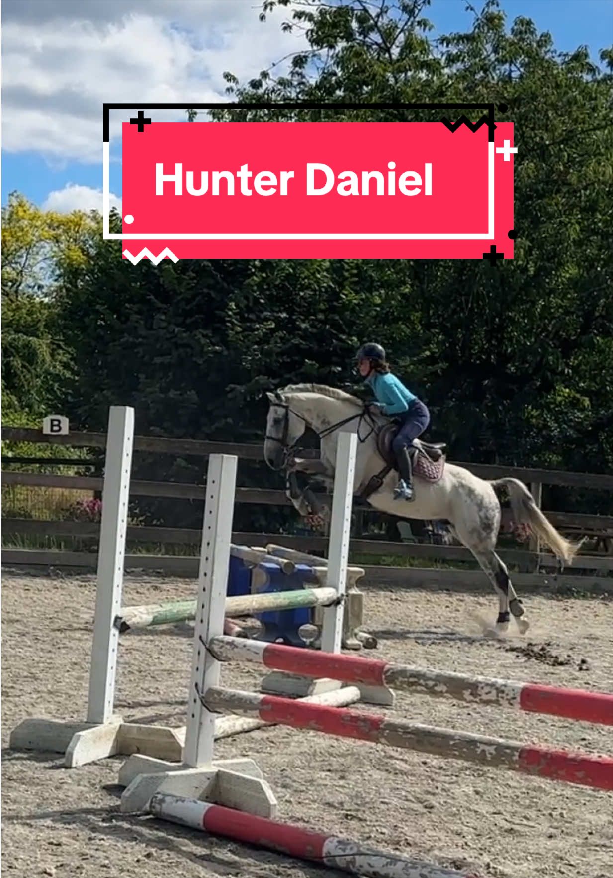 @BlueStarEquestrian