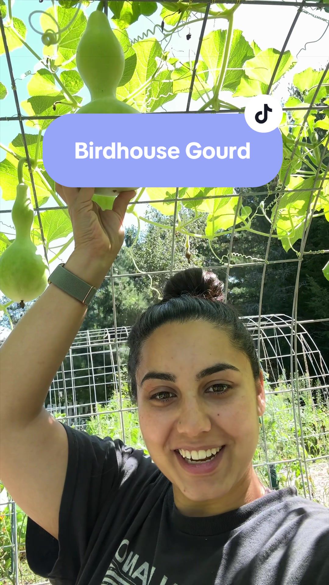 @Manica | zone 6a gardener