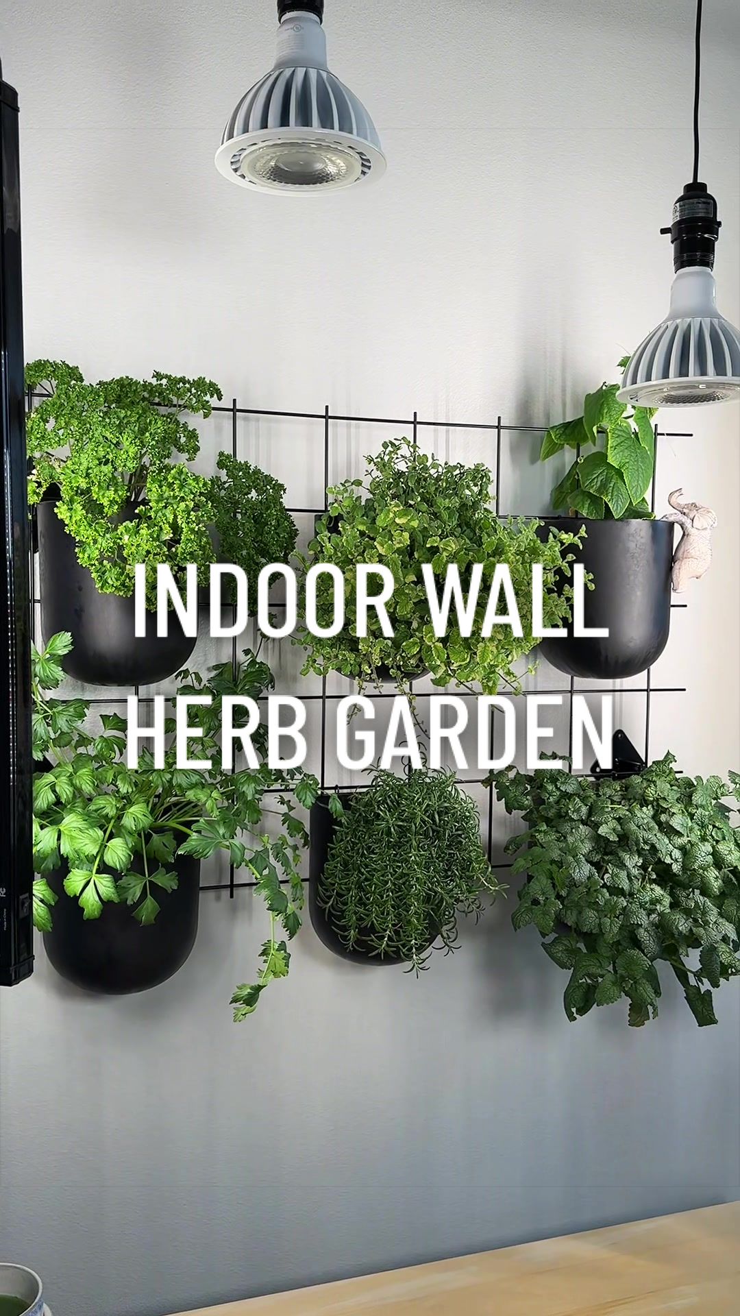 @gardeningindoors