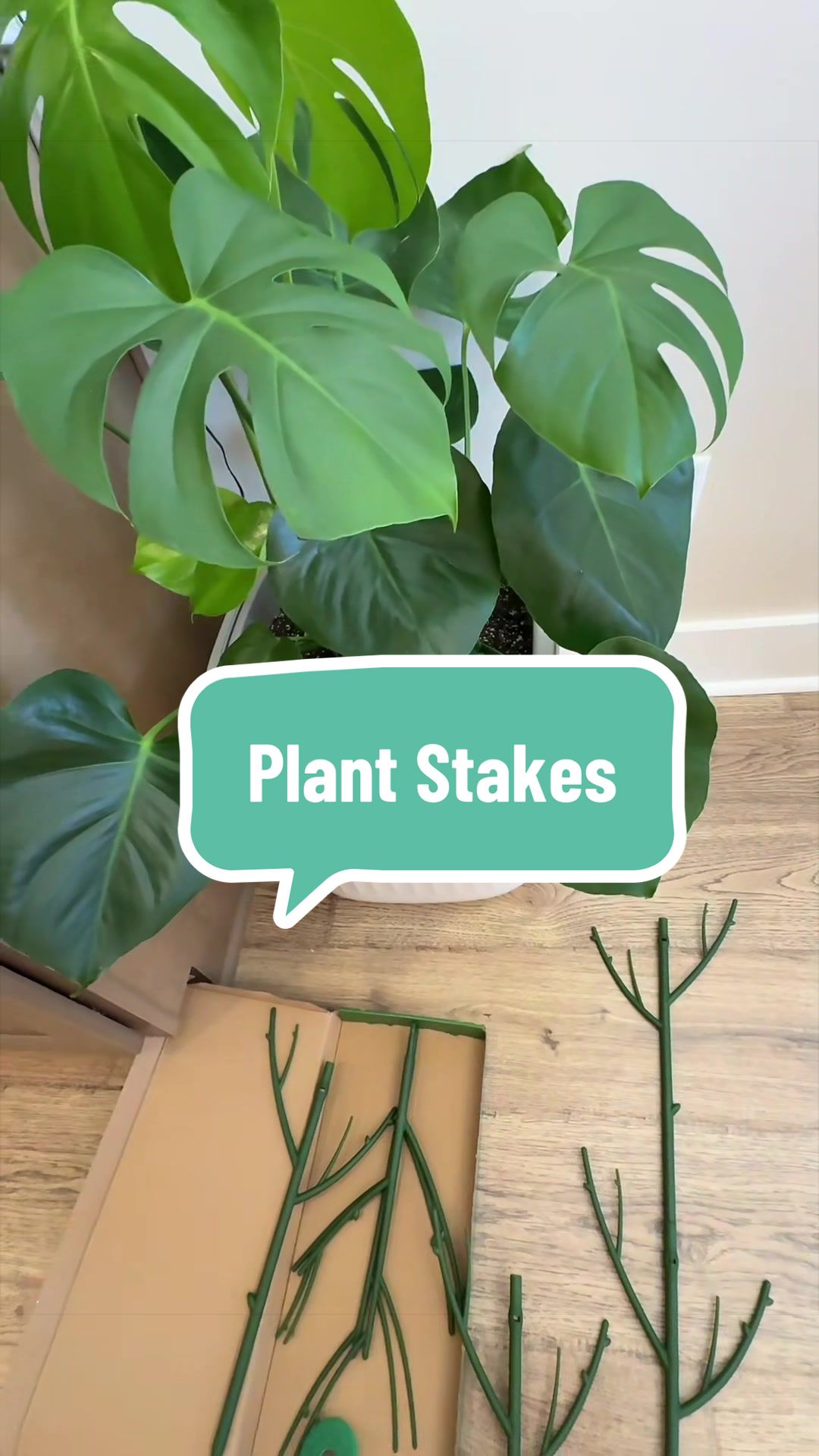 @Rachel Warren 🌱👋🏻
