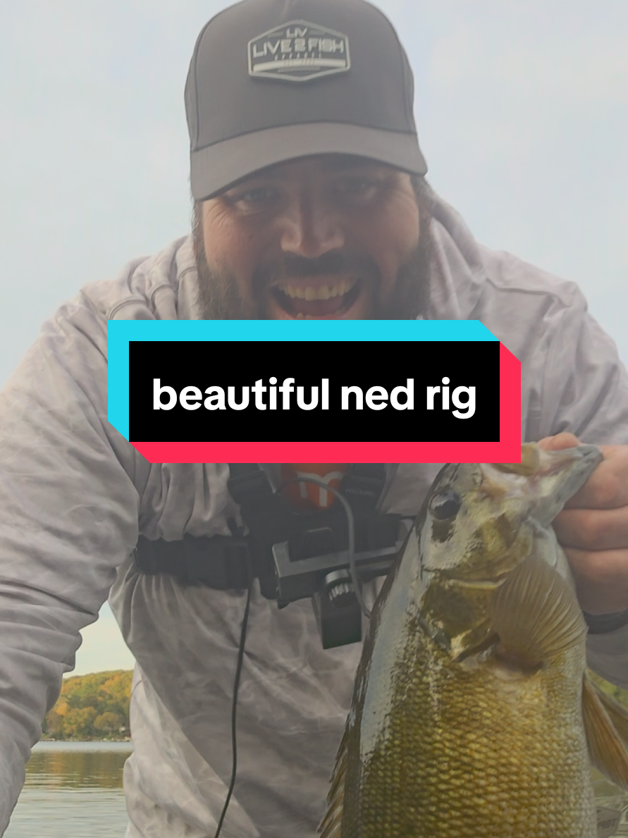 @SP_The_Ned_Master