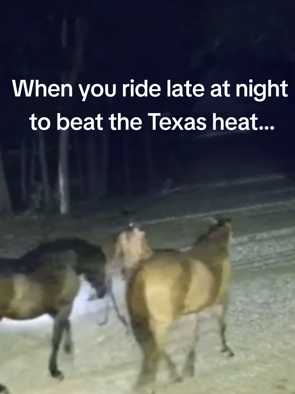 @UntamedTexas
