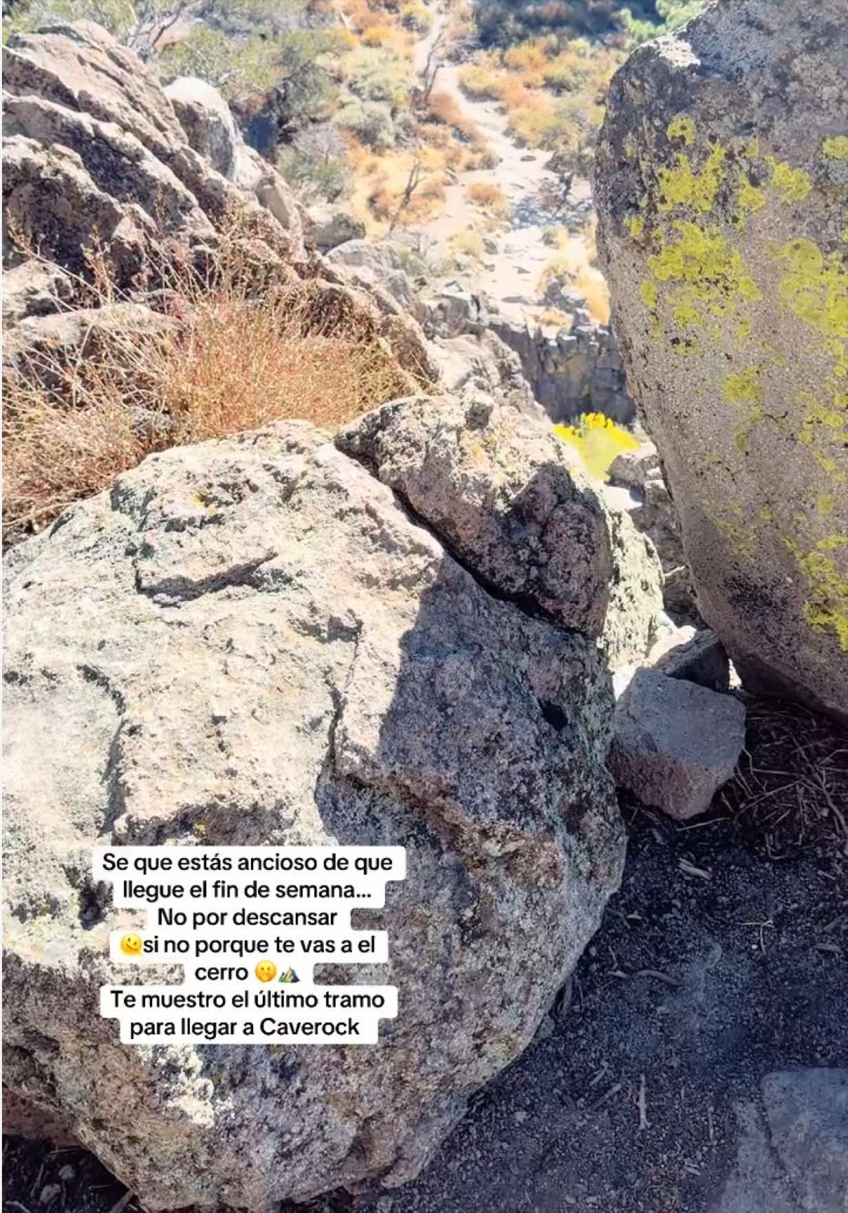 @🦋Mariposa🪽11:11🤍