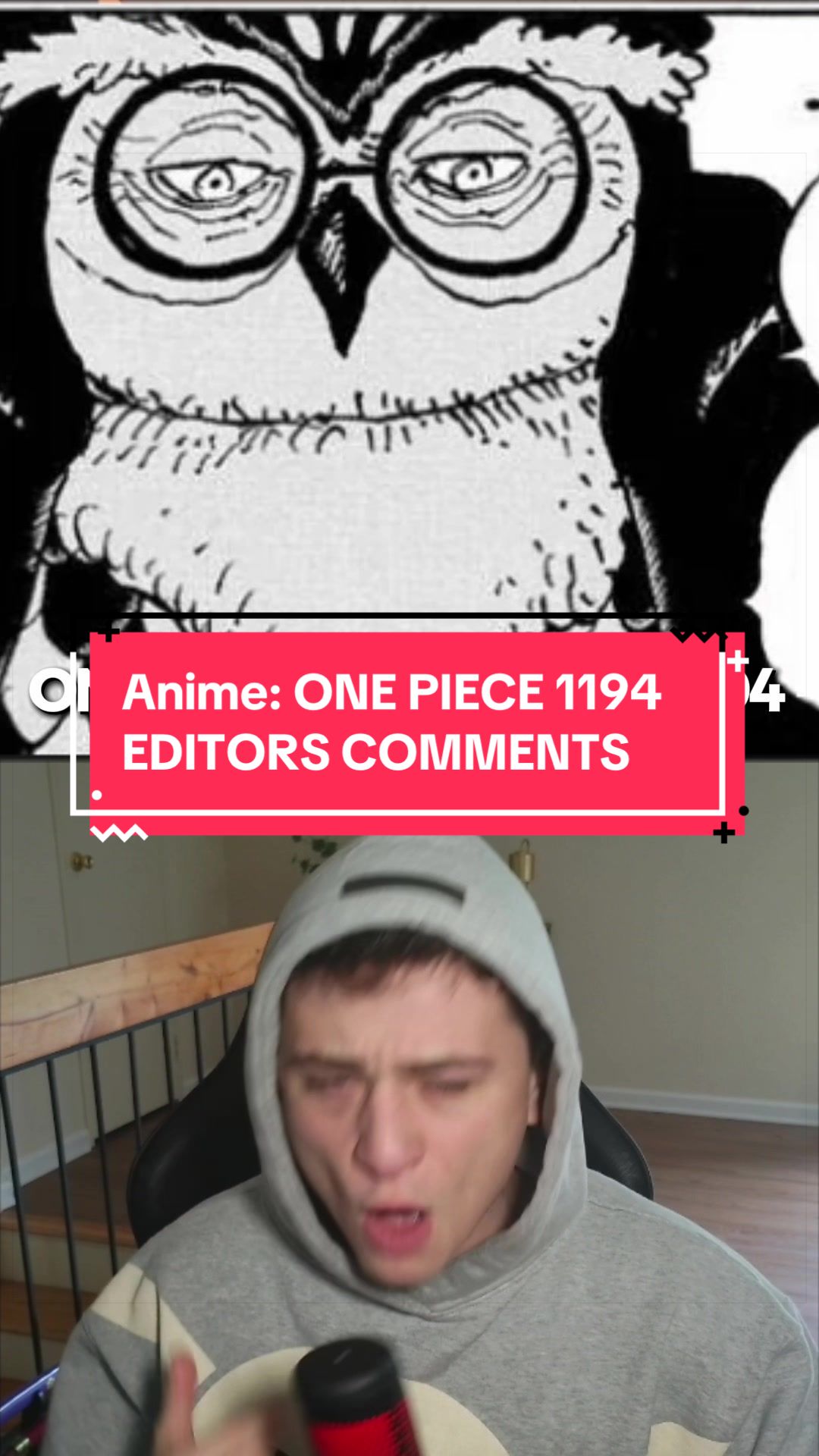 @Thenerdking