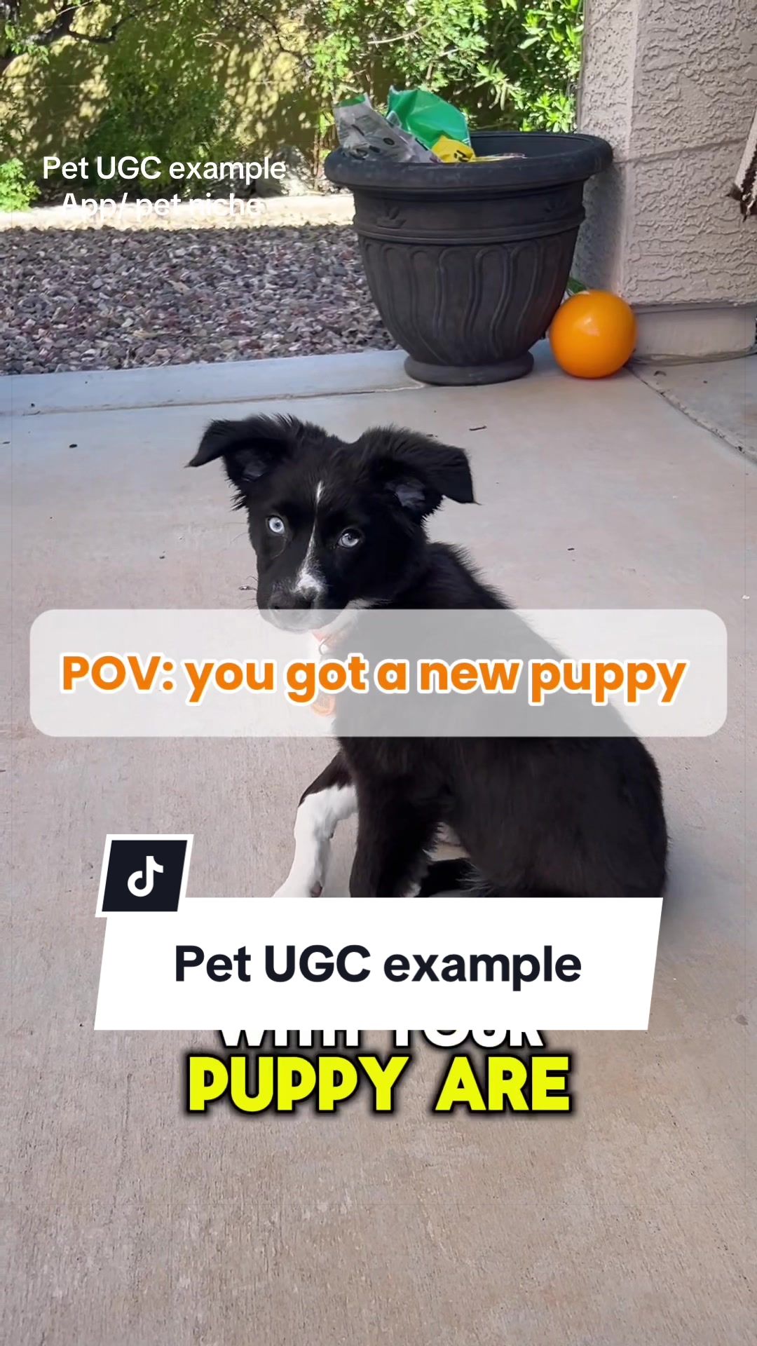 @Sam&ensp;|&ensp;UGC + marketing TIPS✨