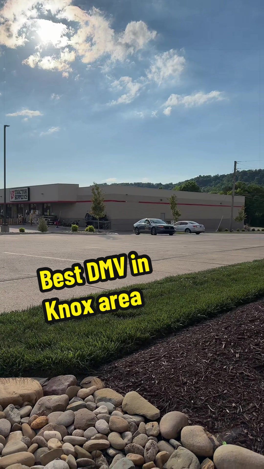 @Driver Ed Knoxville
