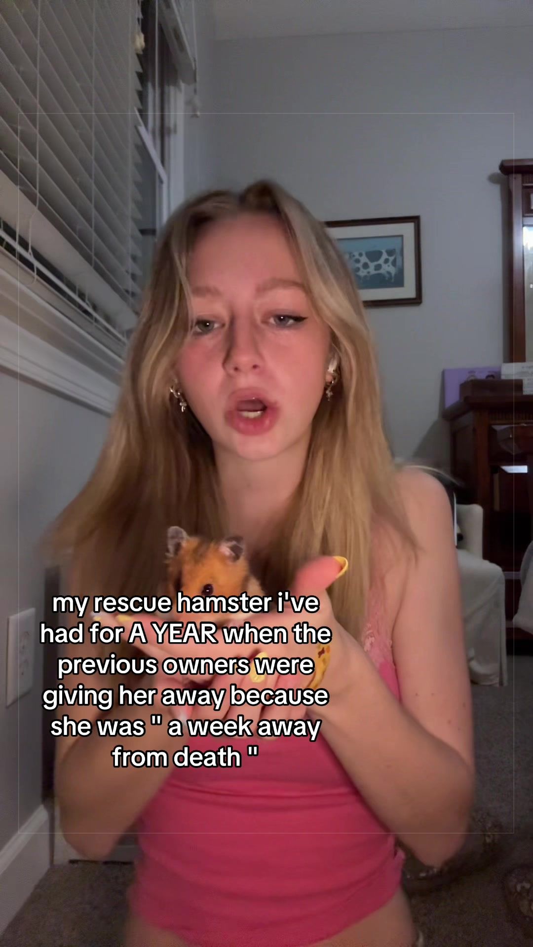 @thatweirdanimalgirl