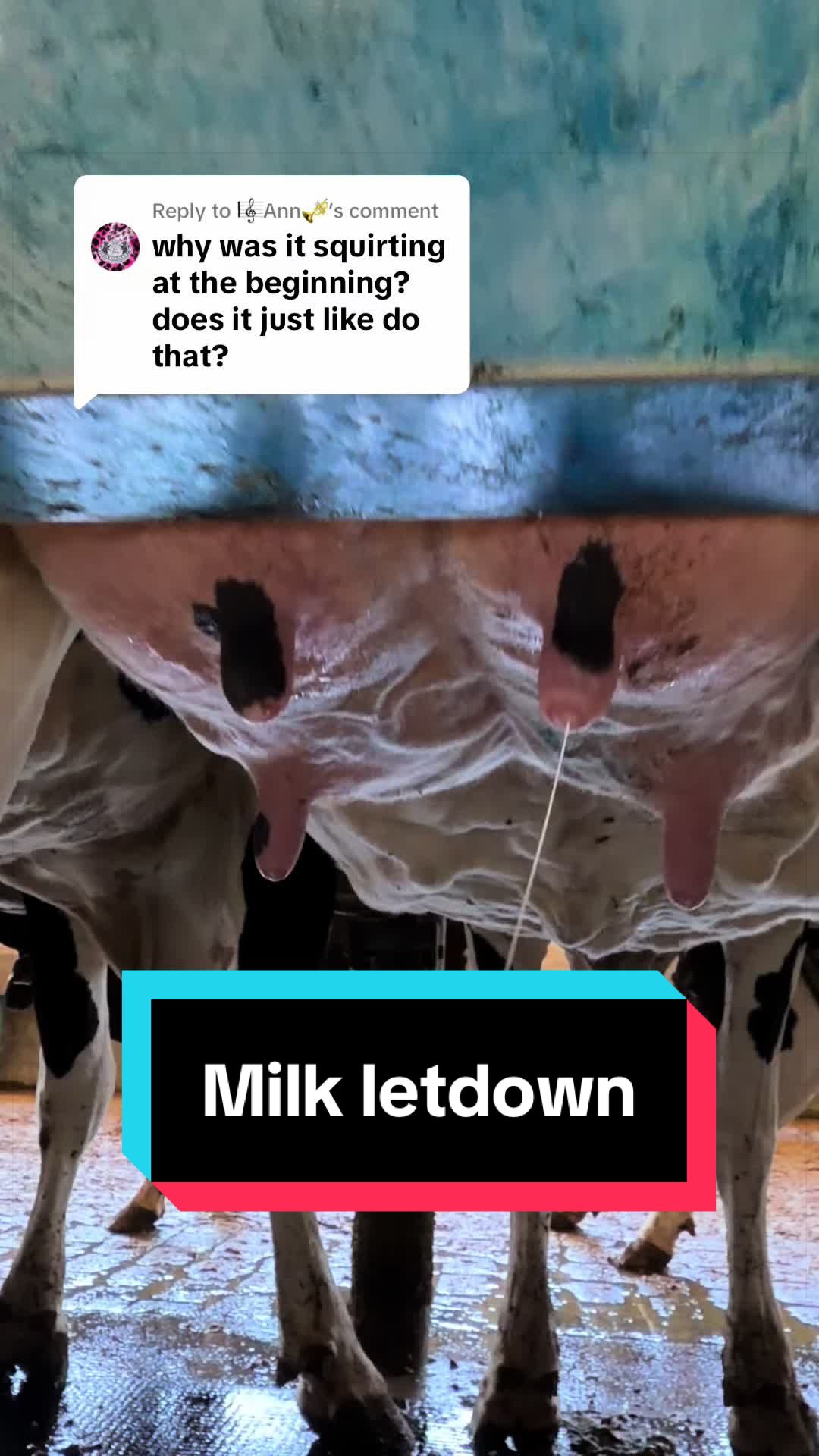 @Dairy Vet Dr. Michelle