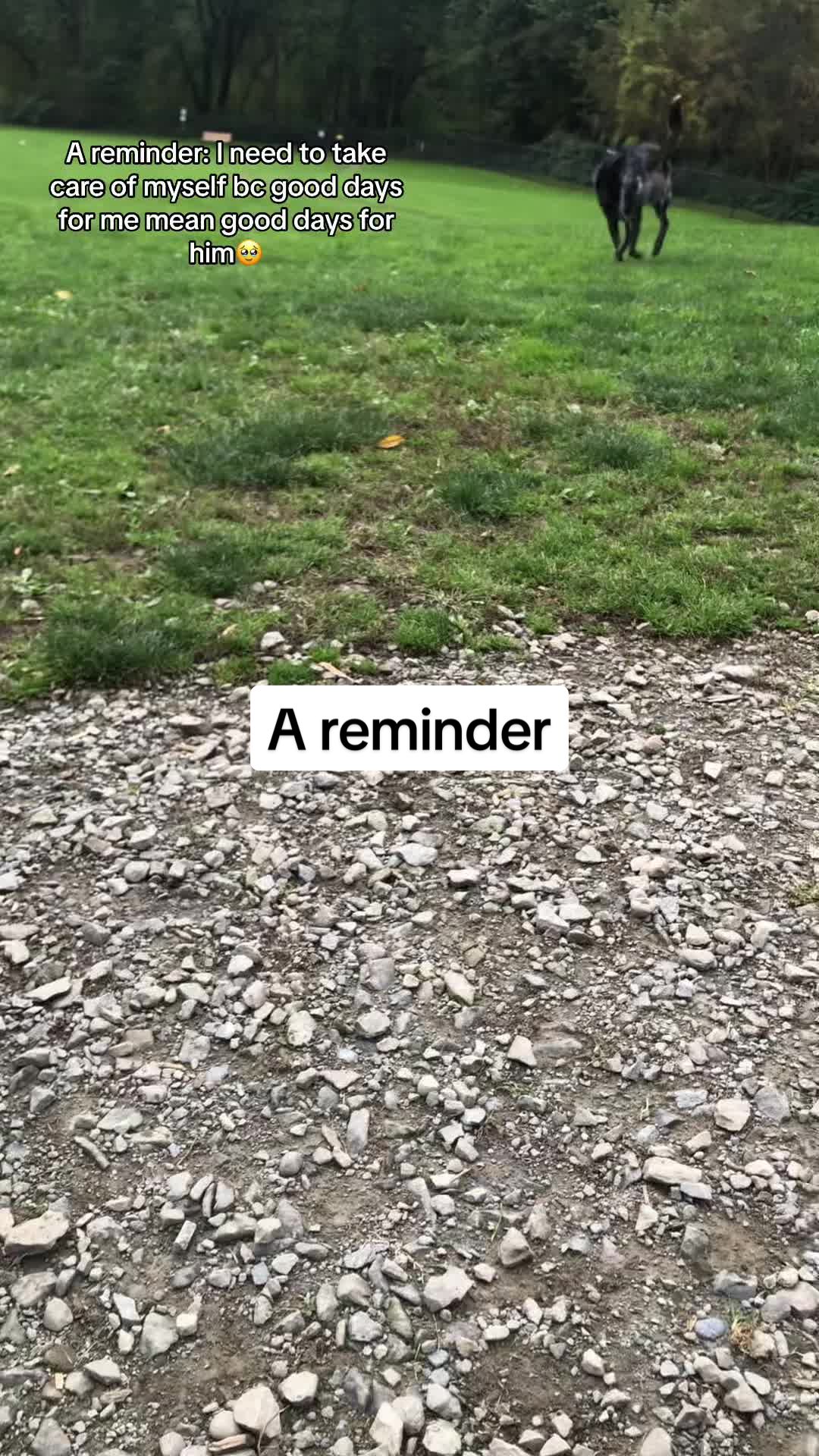 @Cass