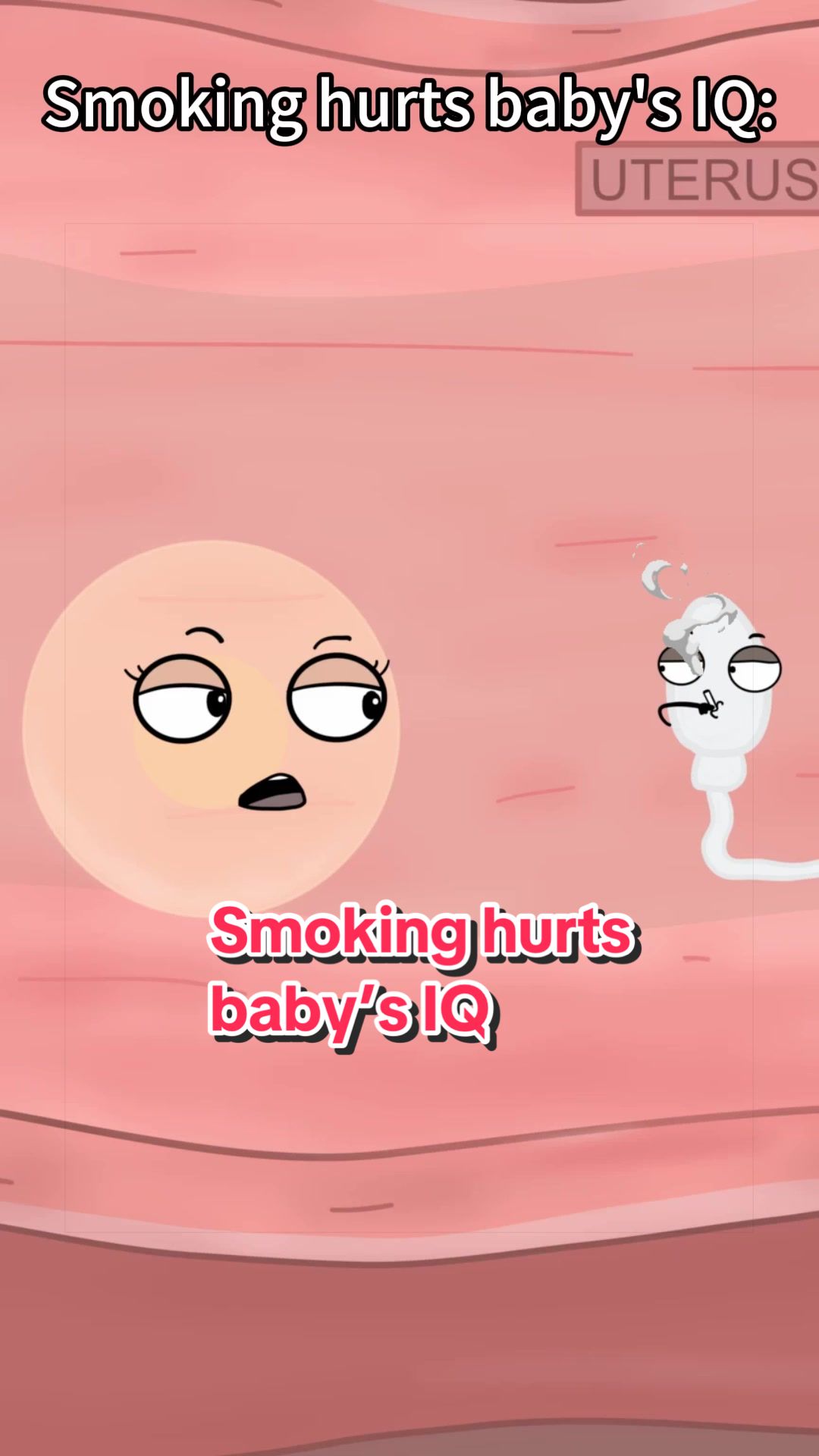 @Funny Animations