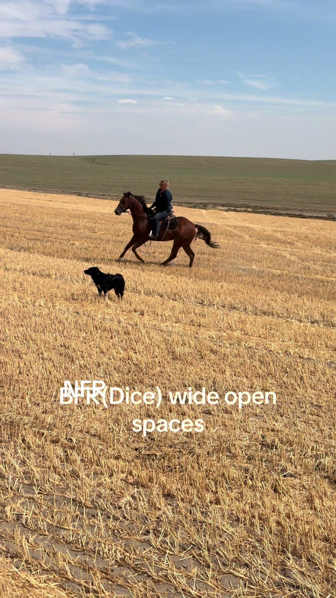 @Lawrace