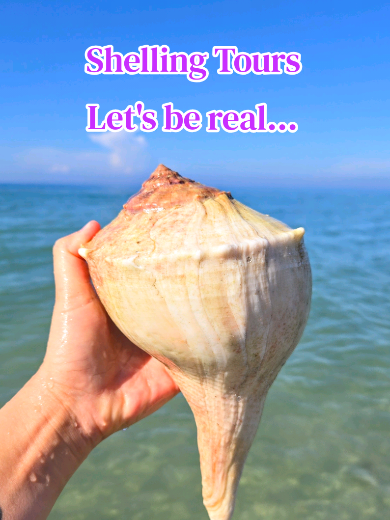 @The Seashell Mermaid ๐