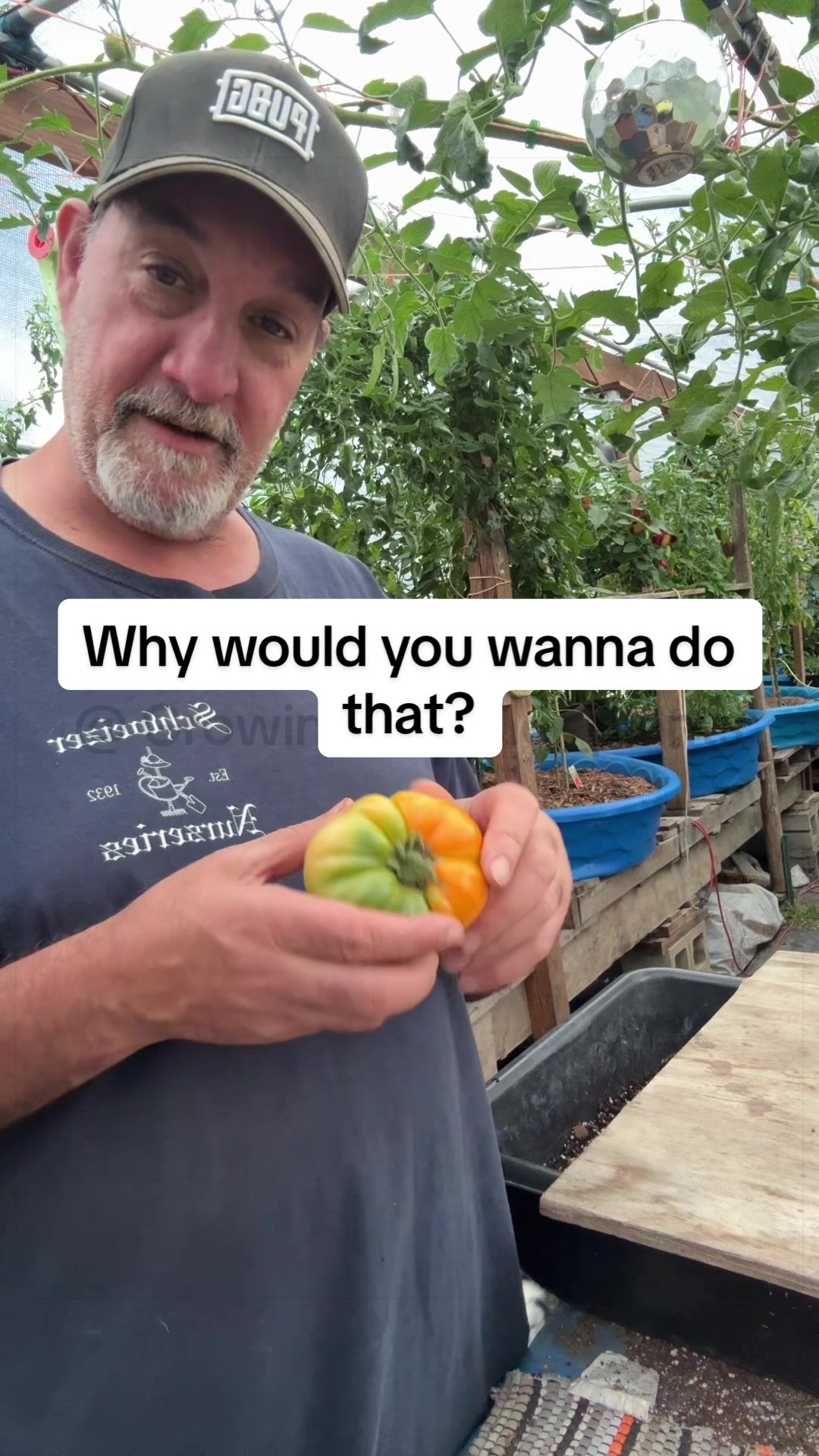 @GROWING_EDIBLE_PLANTS