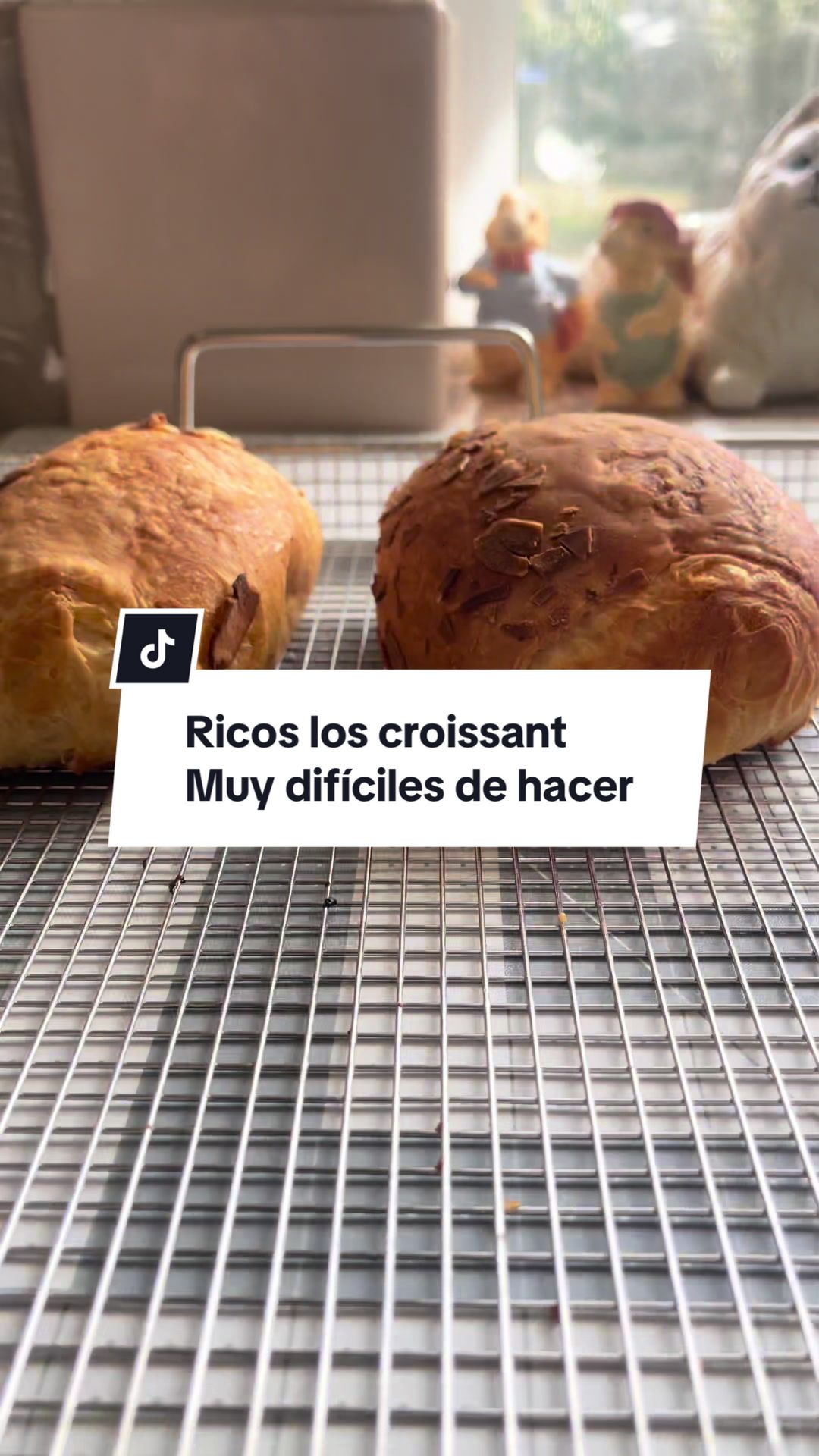 @MelbeeCookies🍪