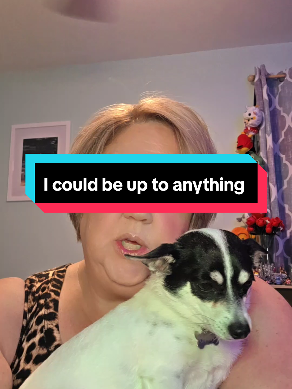 @Mama Pongo