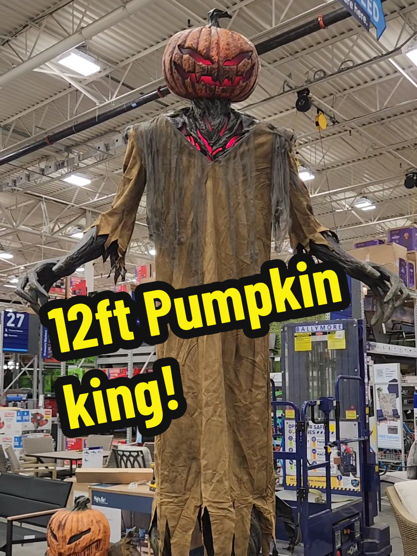 @Toyquest101