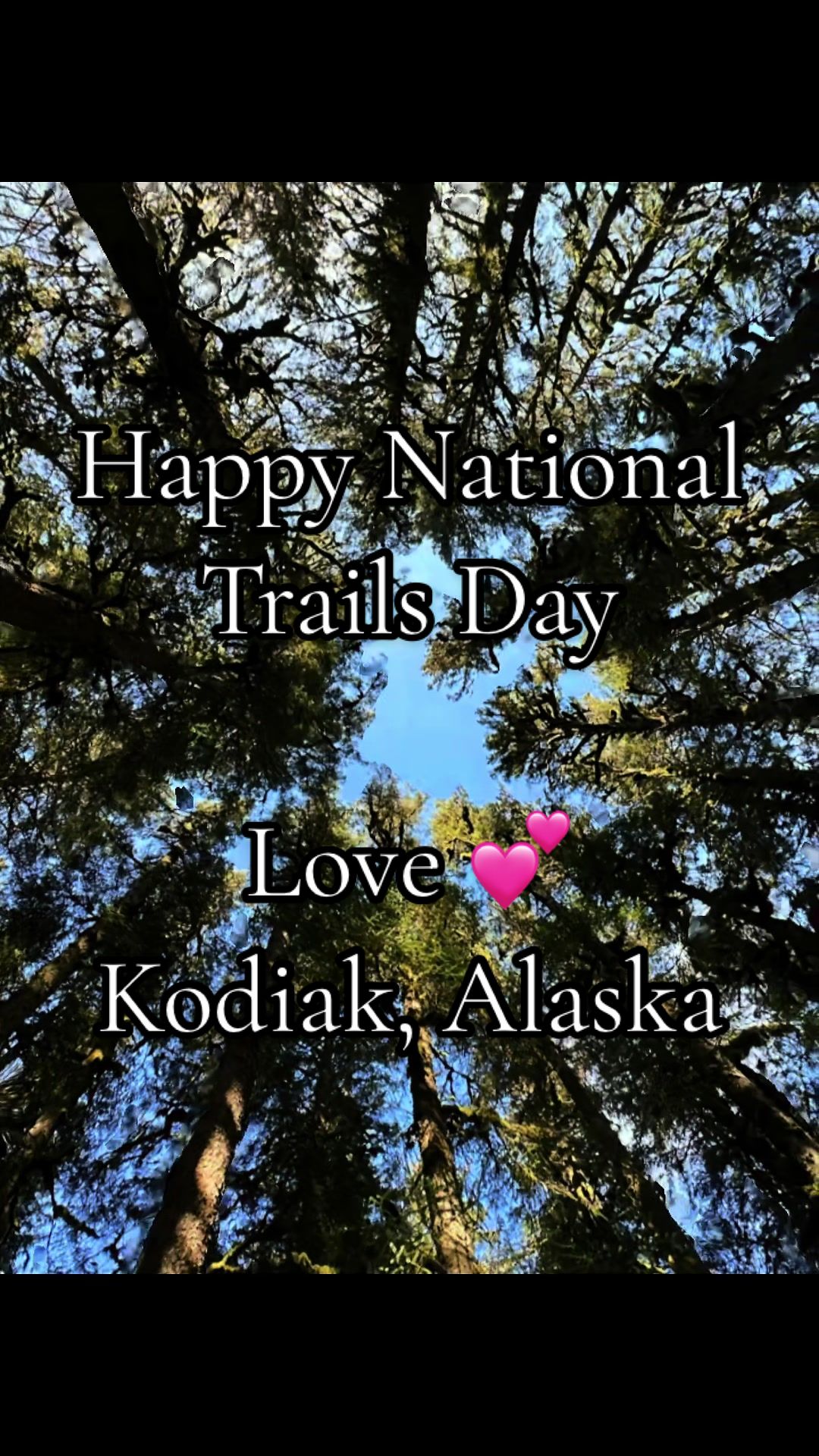 @Kodiak