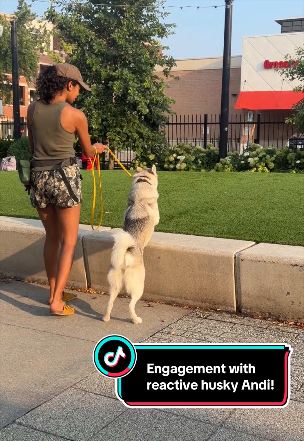 @dogstrainjen