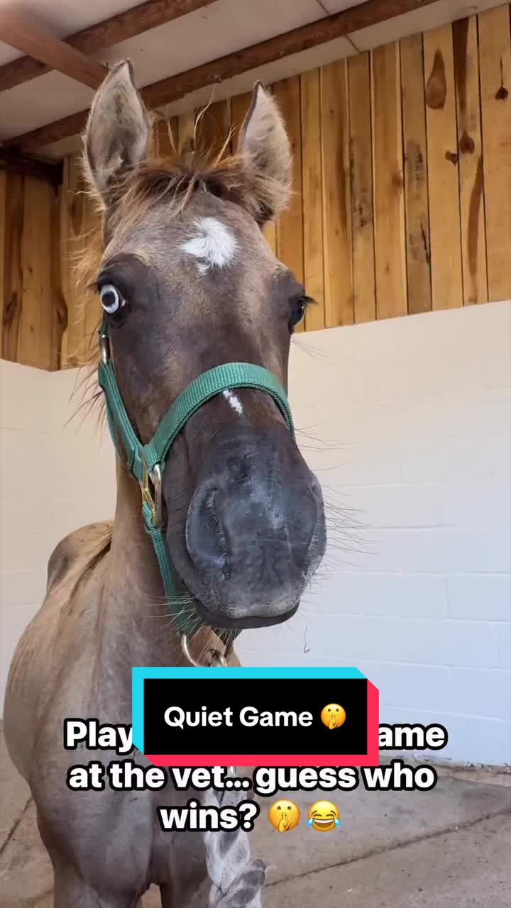 @ThePaintedAcresRanch