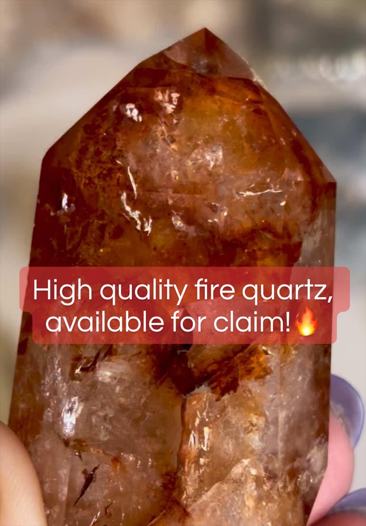 @E & L's Crystal Sanctuary