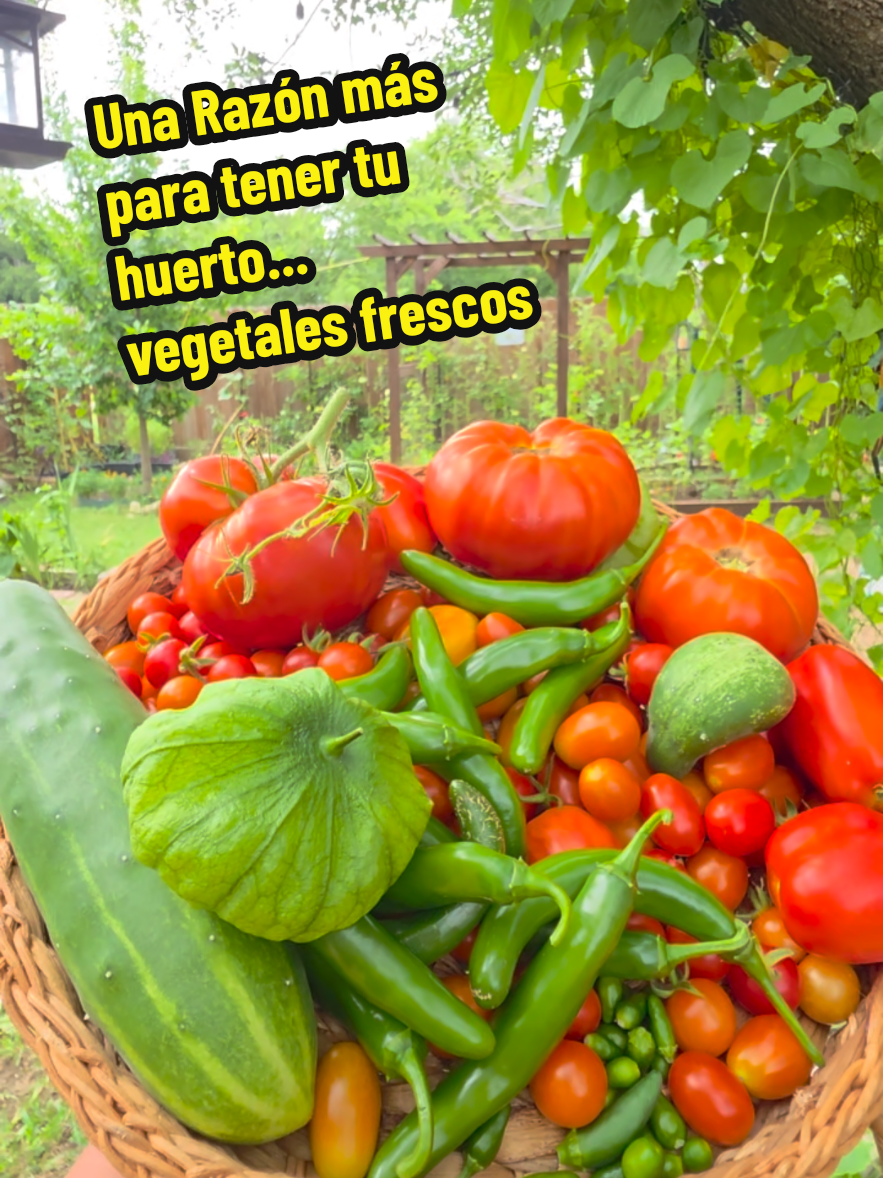 @Mi Rincón Favorito