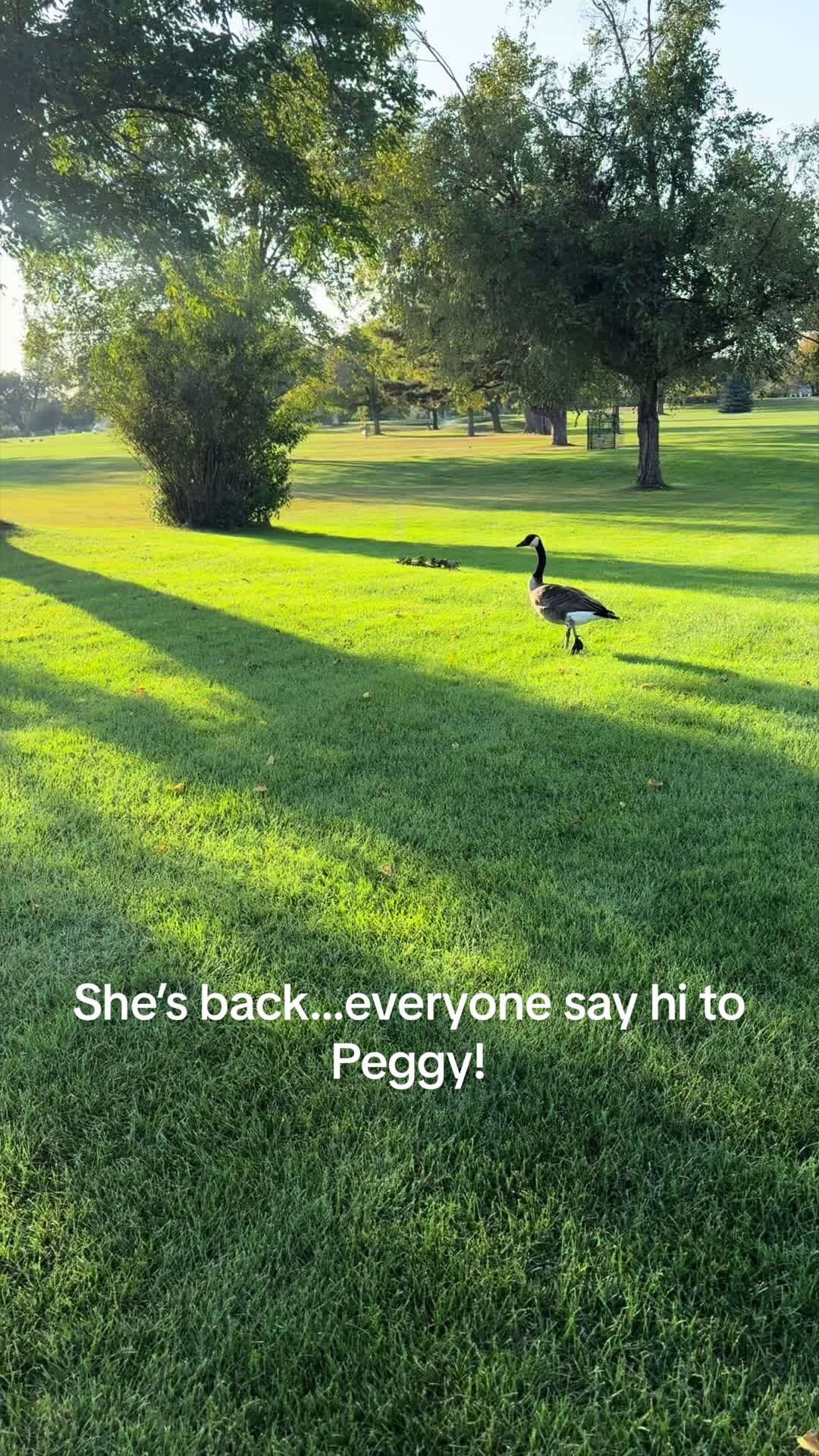 @Indian Creek Country Club (IA)