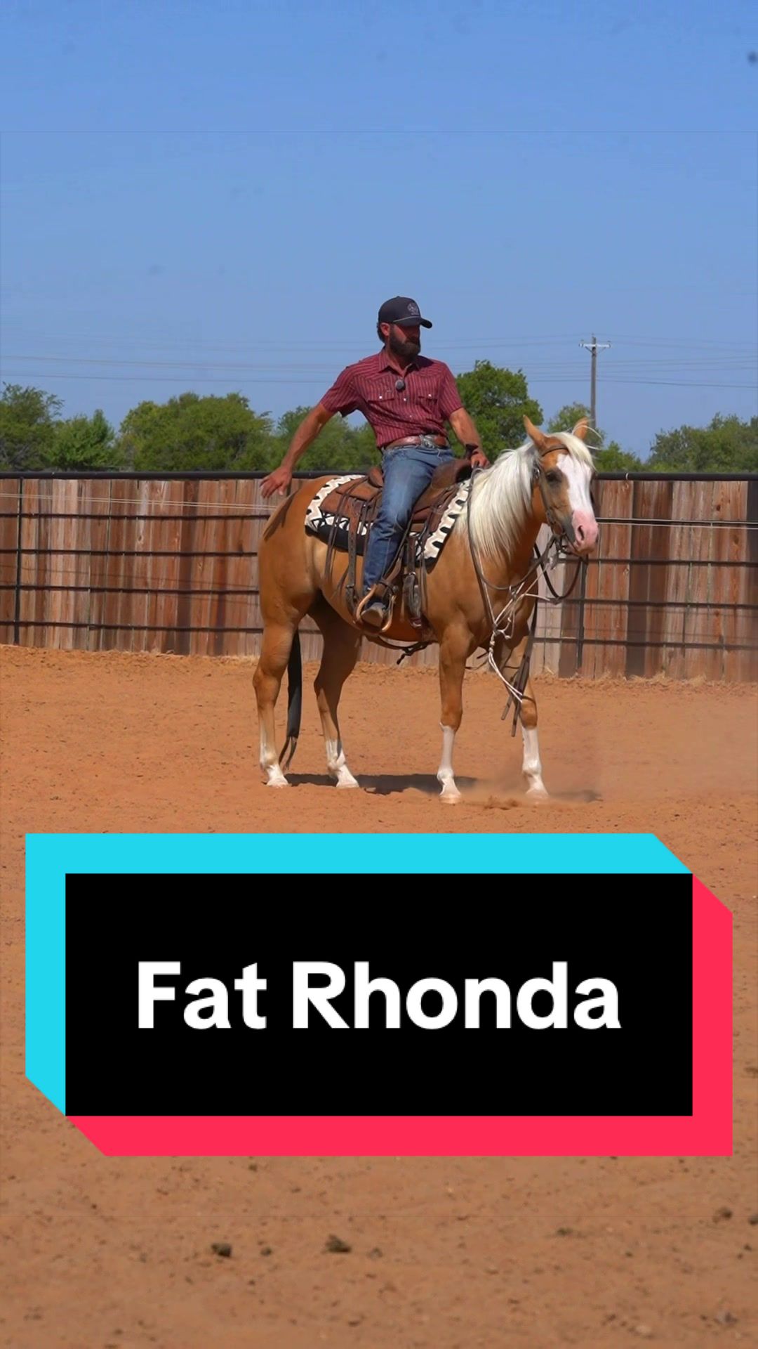 @WS Horses