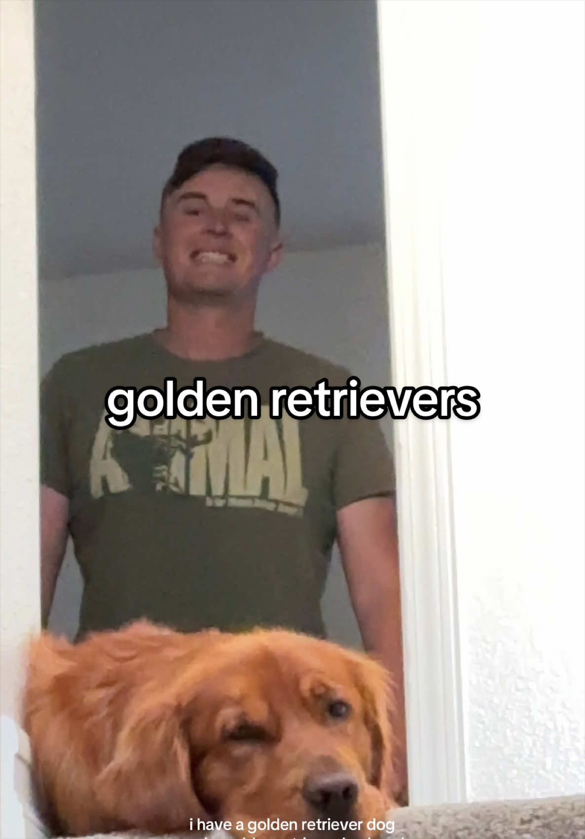 @Winston the Golden Pup 🍯