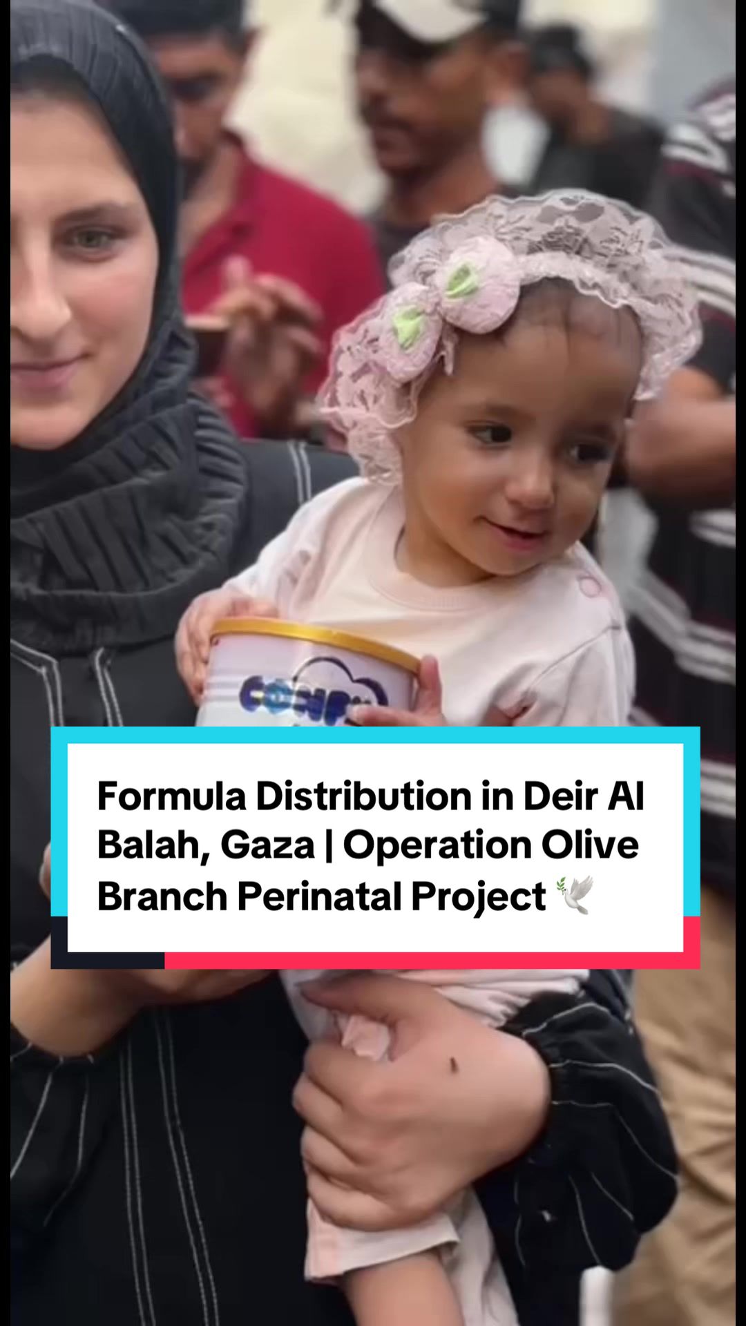 @Operation Olive Branch