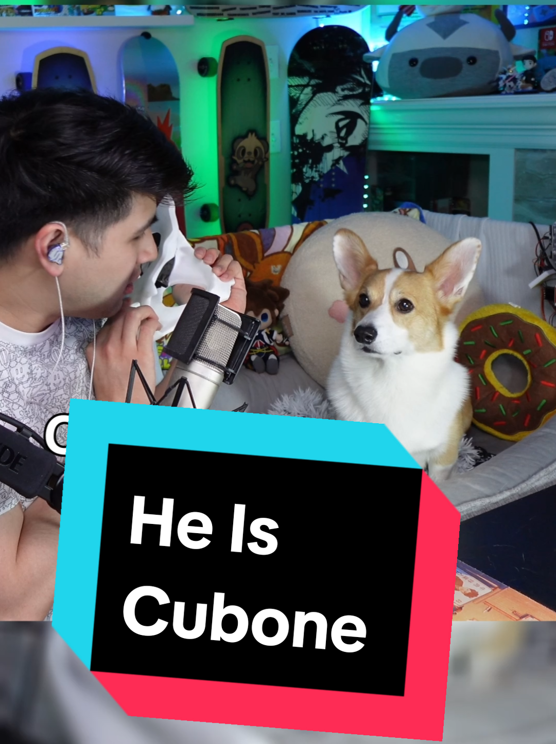 @Protocorg | Twitch Streamer