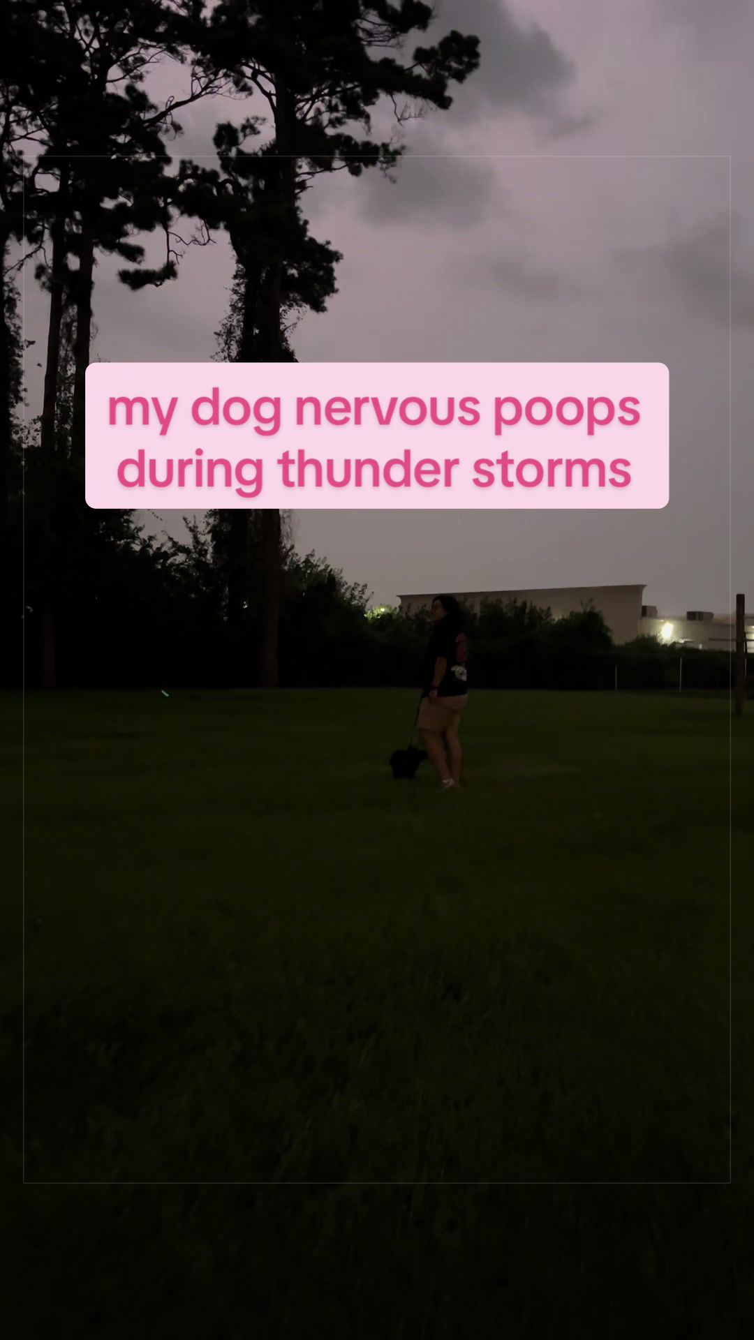 @dianita