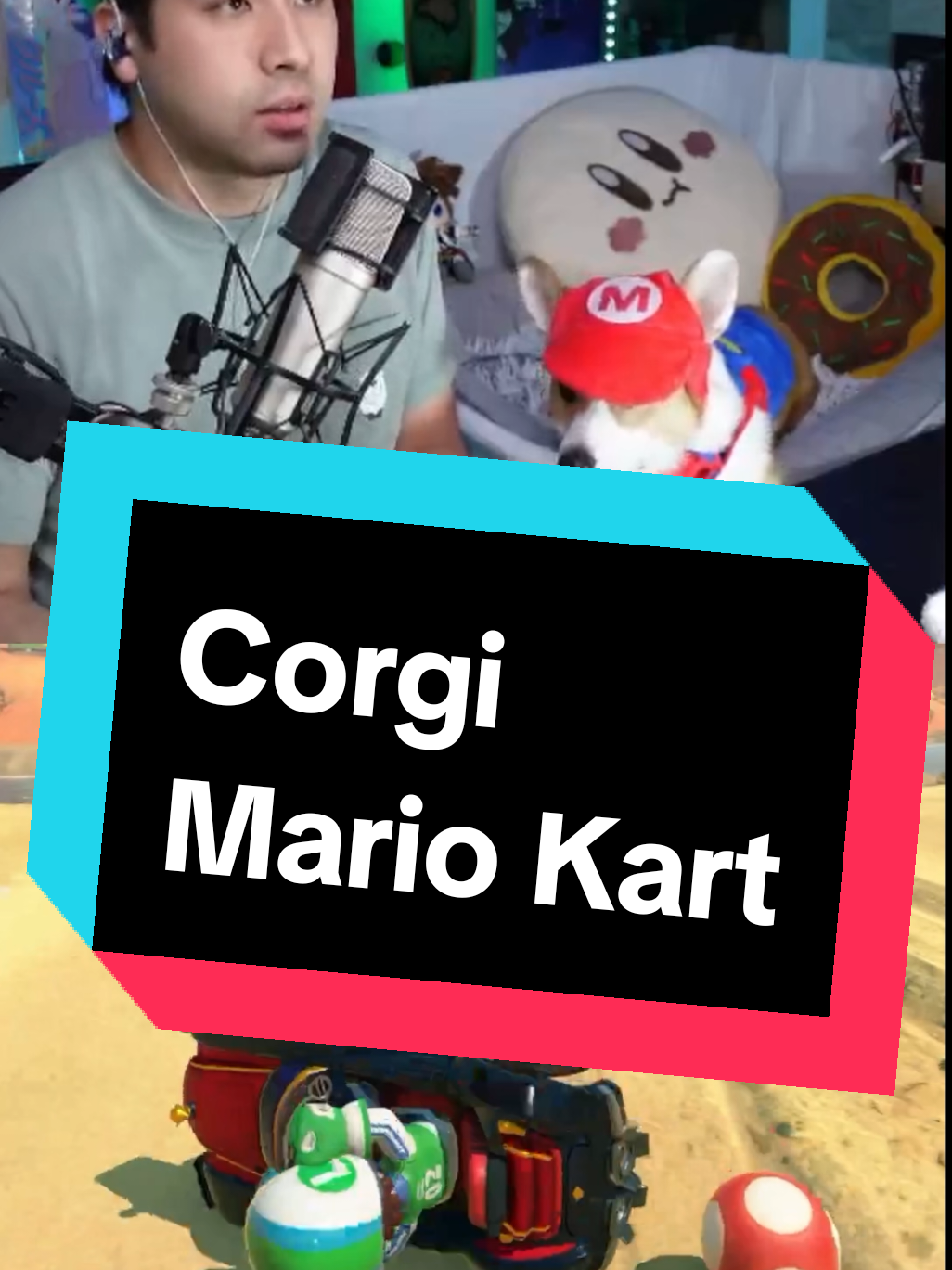 @Protocorg | Twitch Streamer