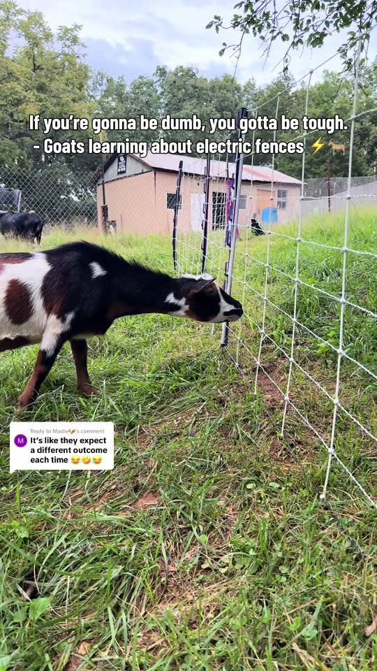 @KidsOnKerth 🐐 Hannah 💀🎃👻