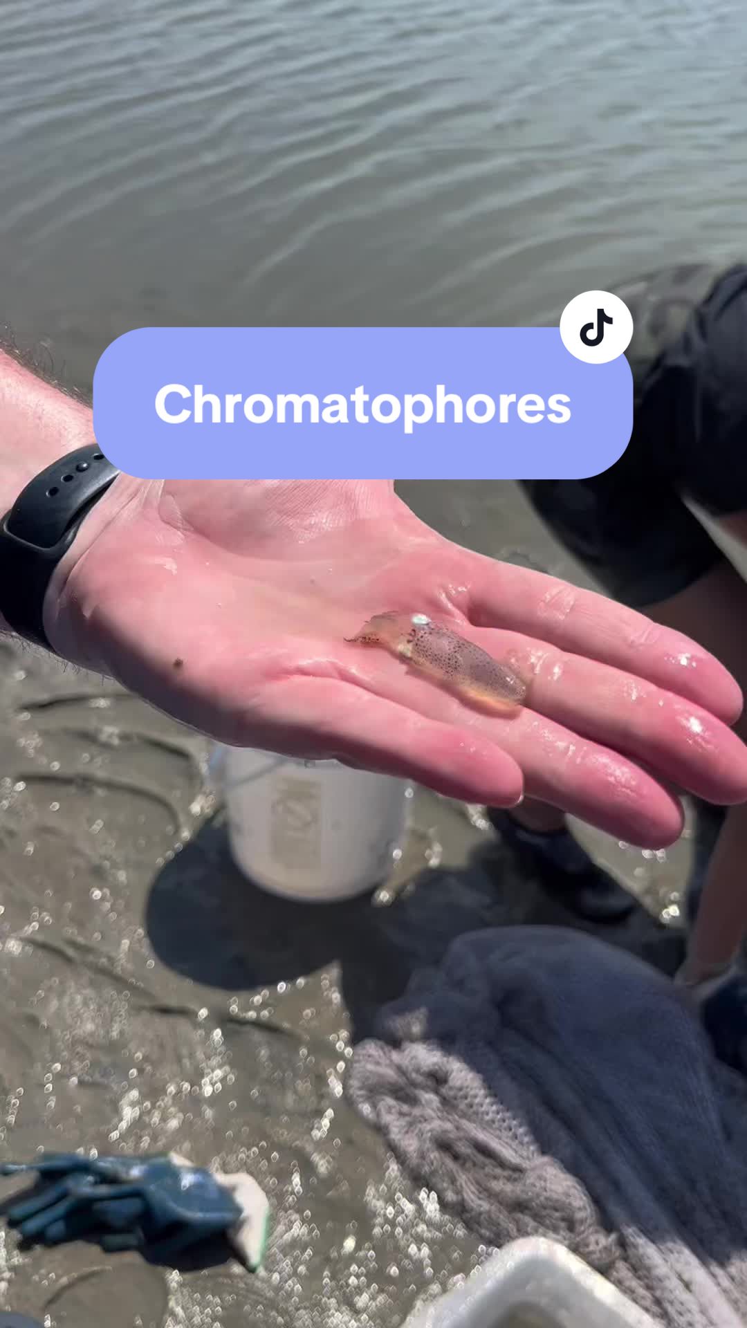 @Your Ocean BFF & Fun Facts🪼