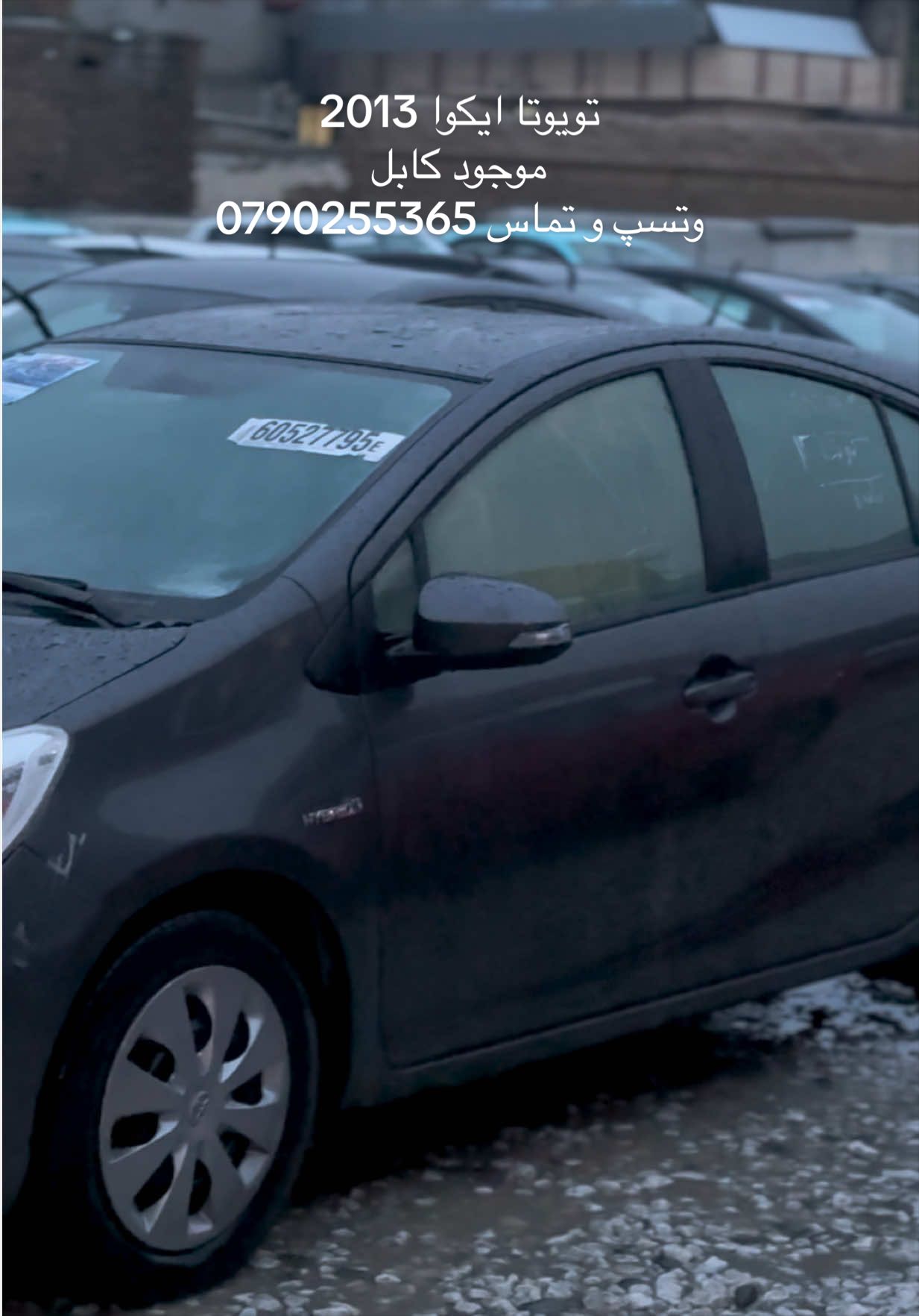 @Luxury Car-نړیوال موټرو واردات