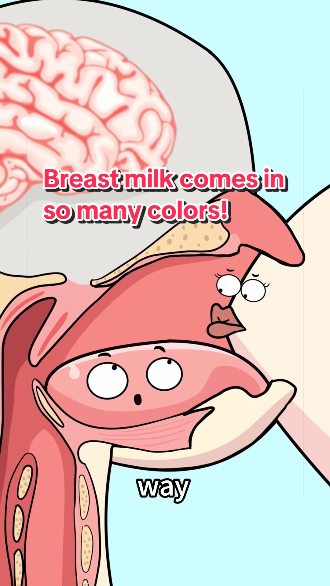 @Funny Animations