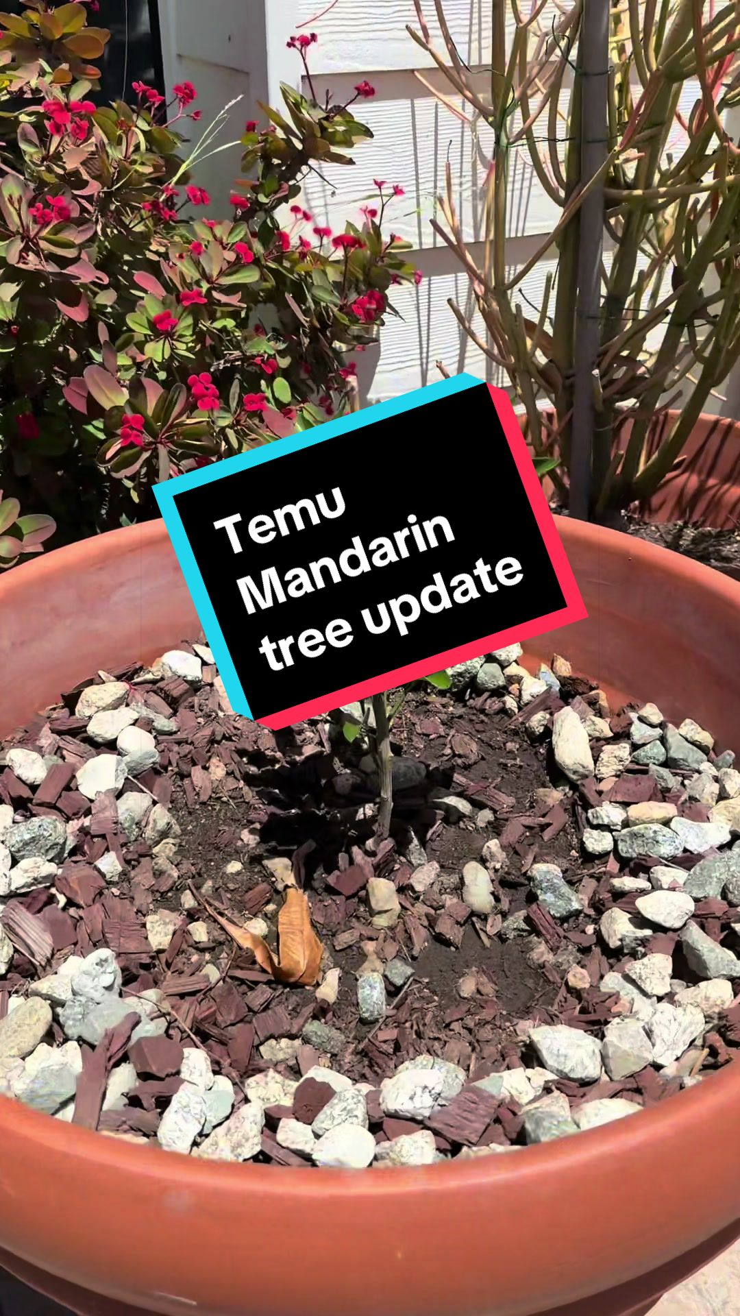 @TVDarryl