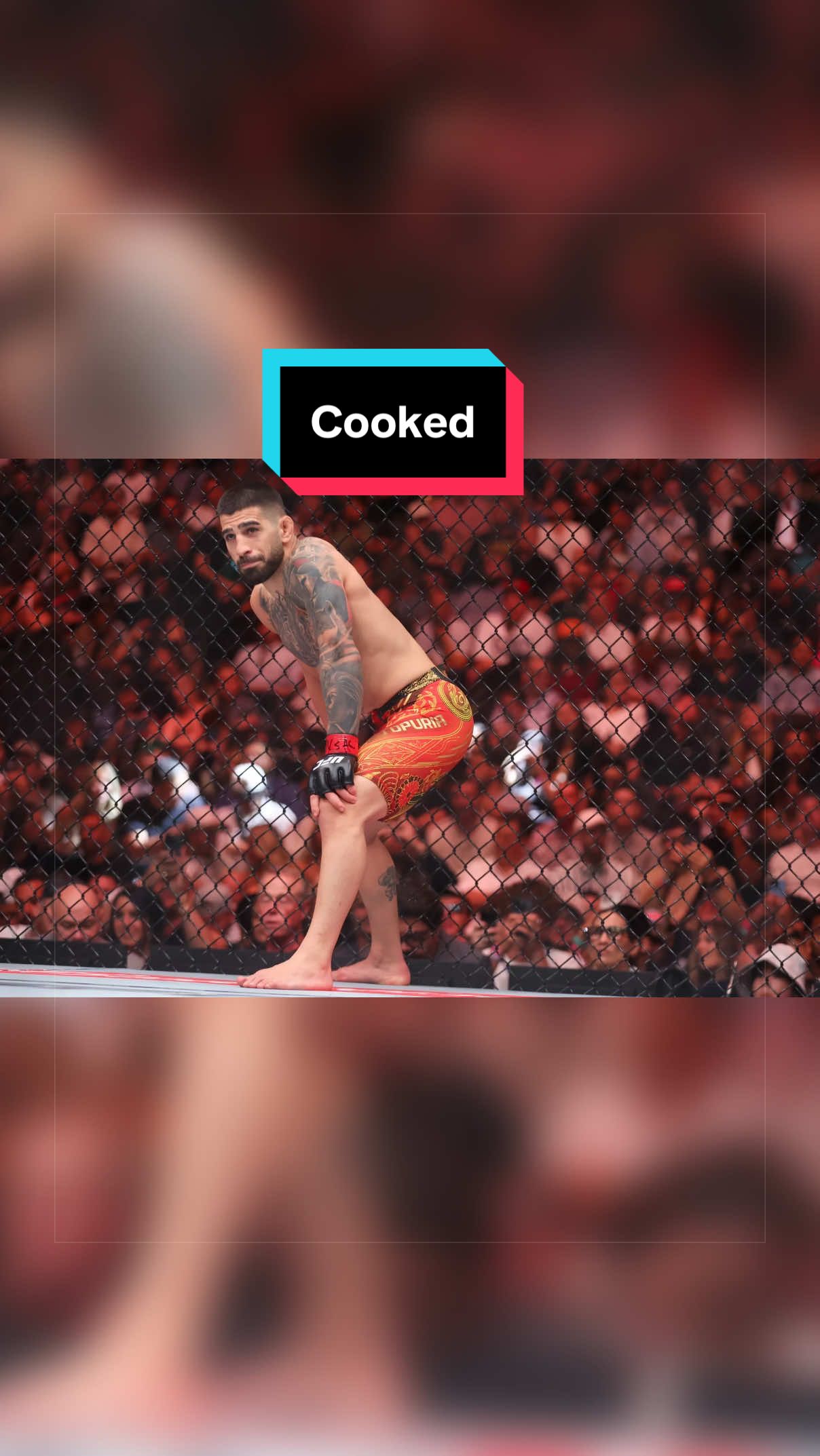 @MARAUDERMMA