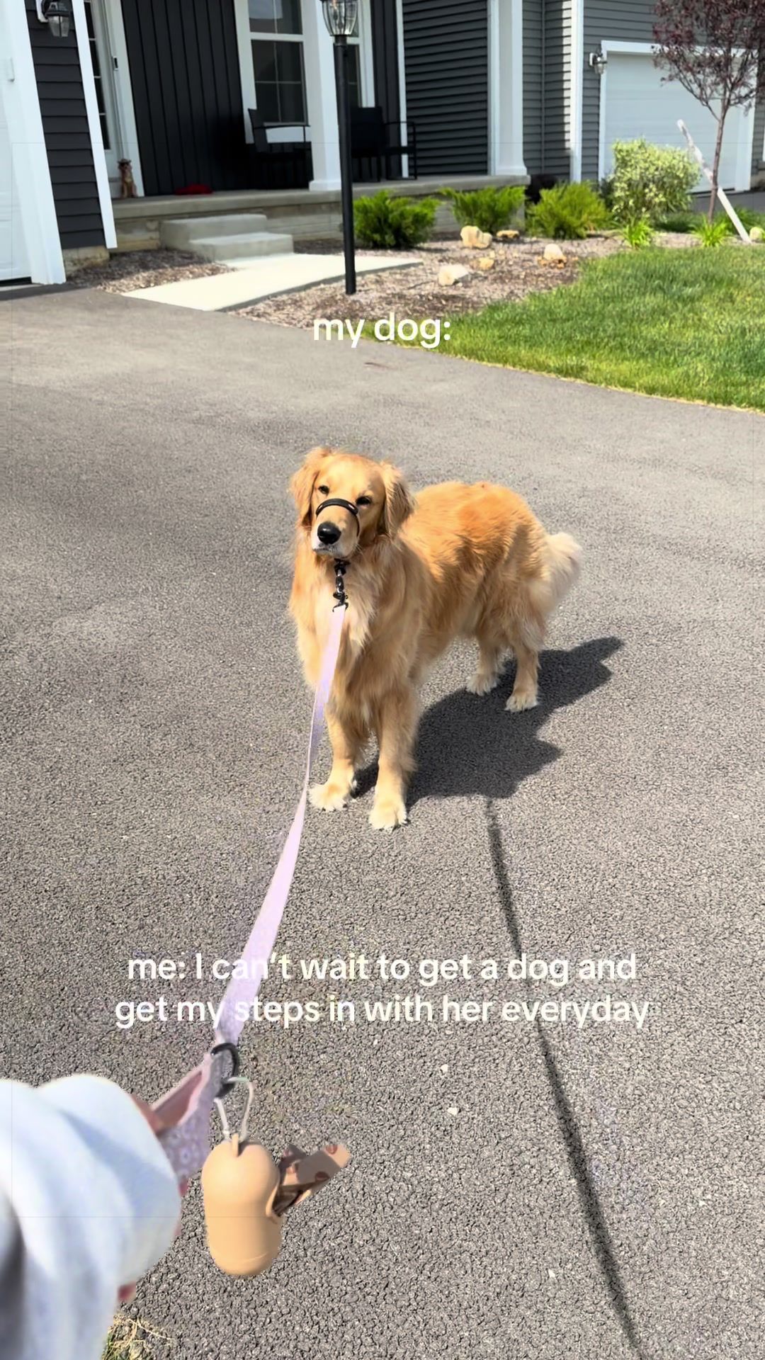 @novathegoldenn