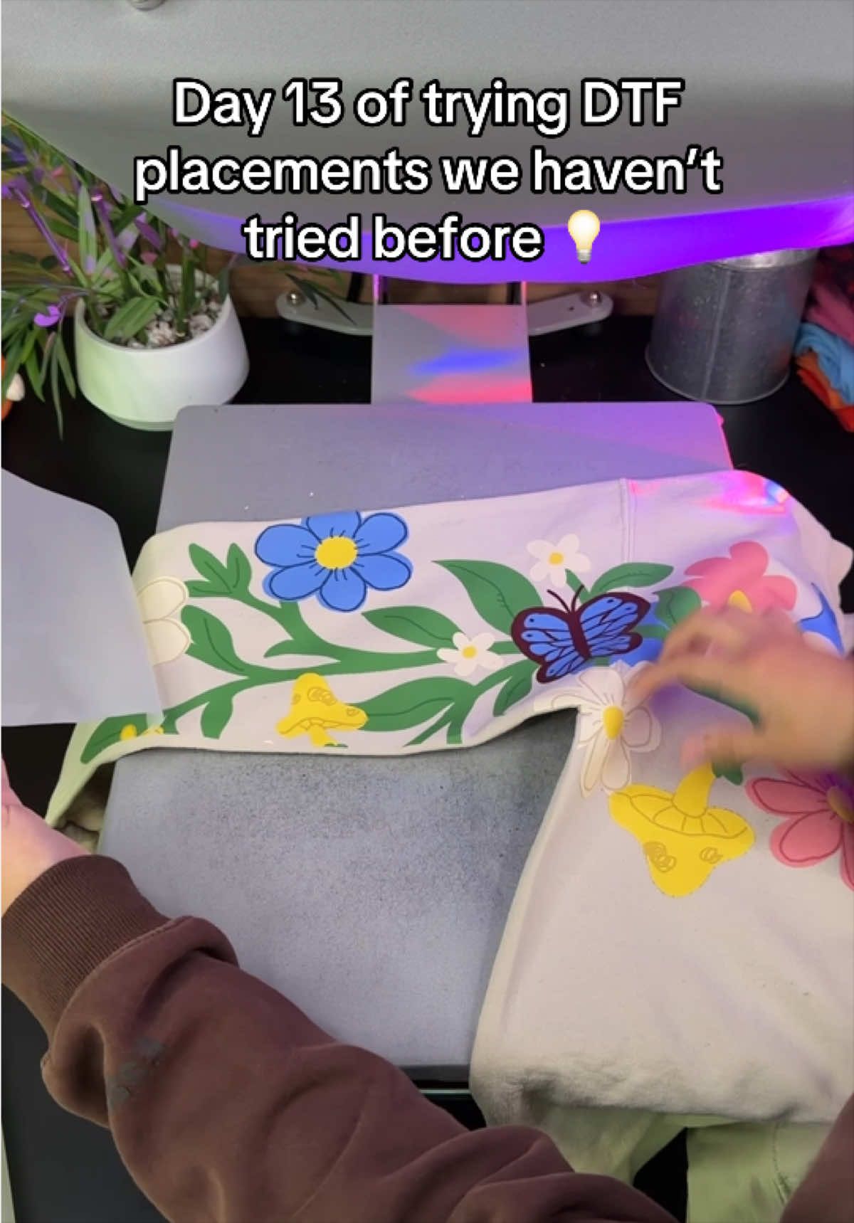 @Ninja Transfers