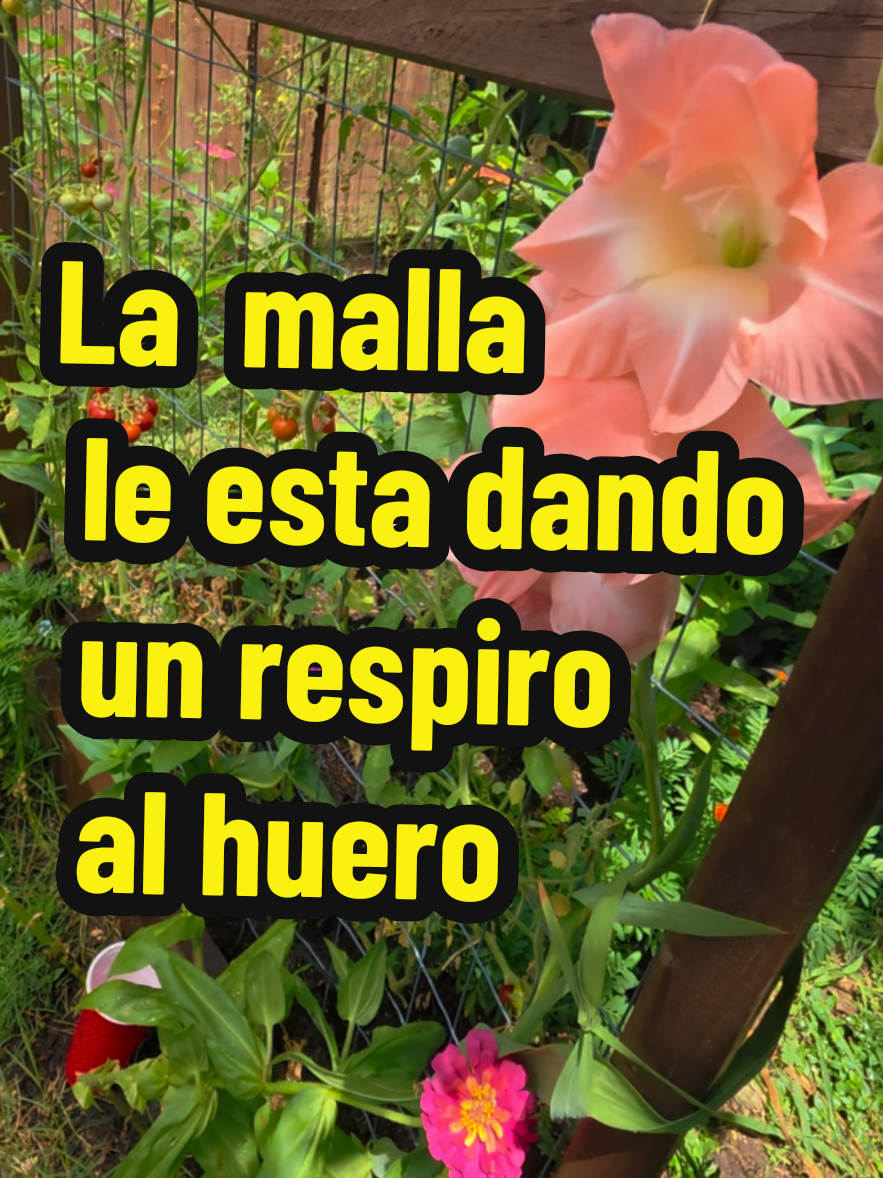 @Mi Rincón Favorito