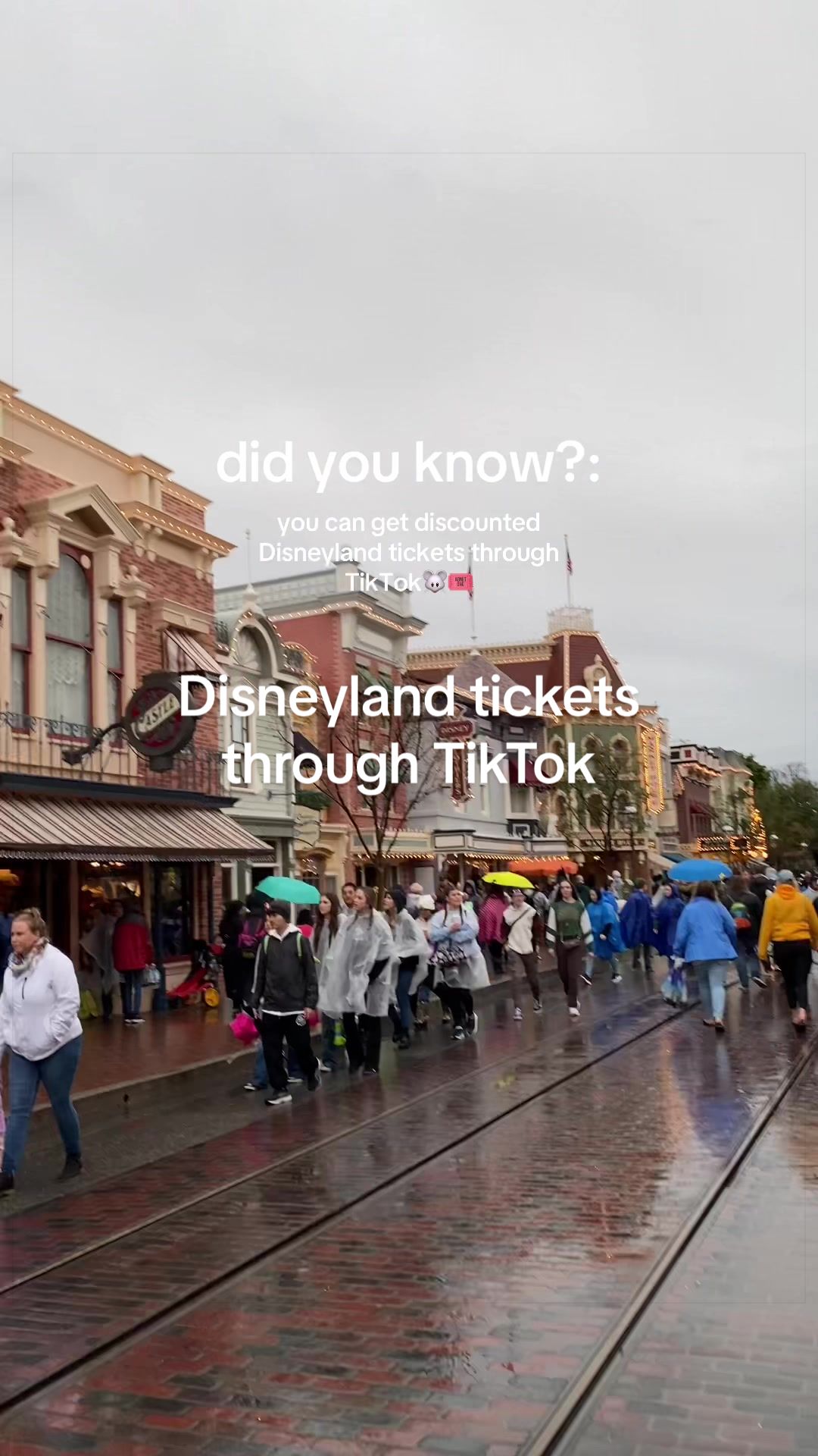 @Ty found it 🏷️