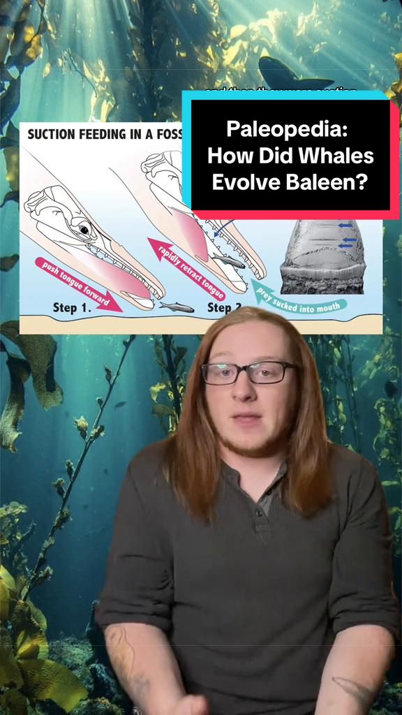 @Paleopedia