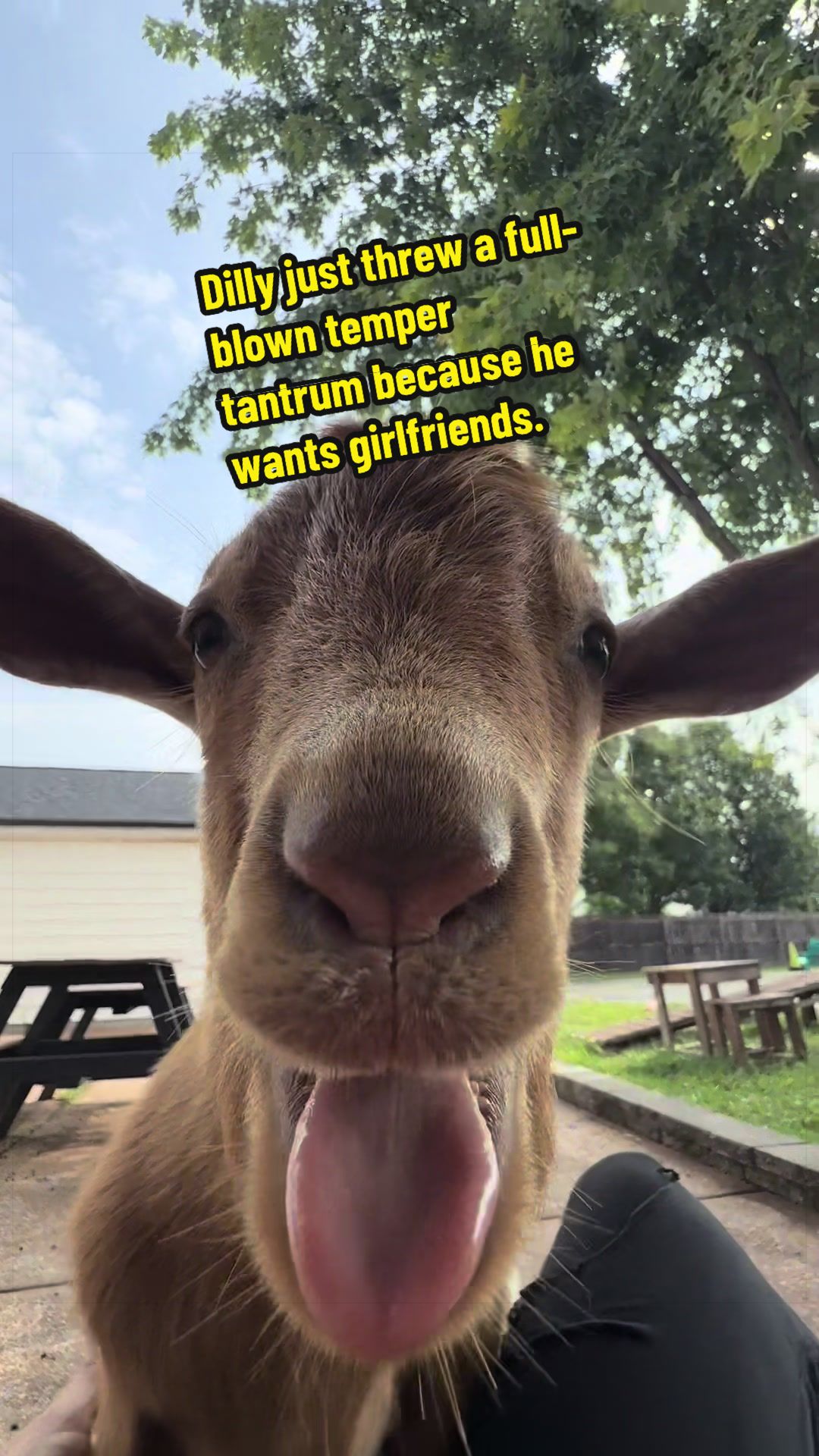 @KidsOnKerth 🐐 Hannah 💀🎃👻