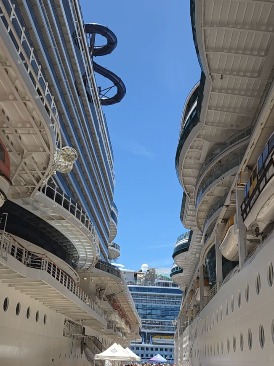 @Whit the Cruise Queen⚓️