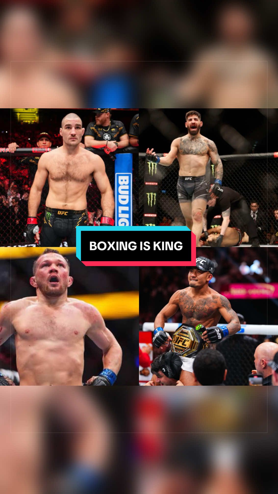 @MARAUDERMMA
