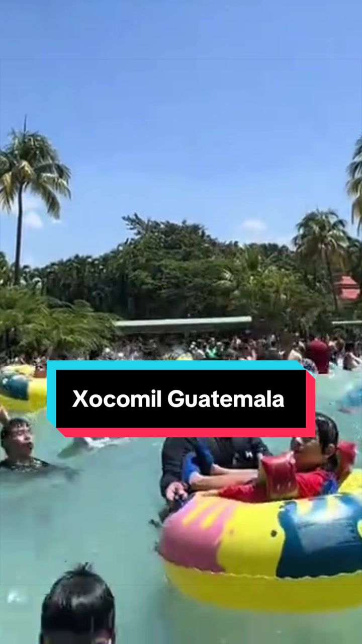 @El Wason